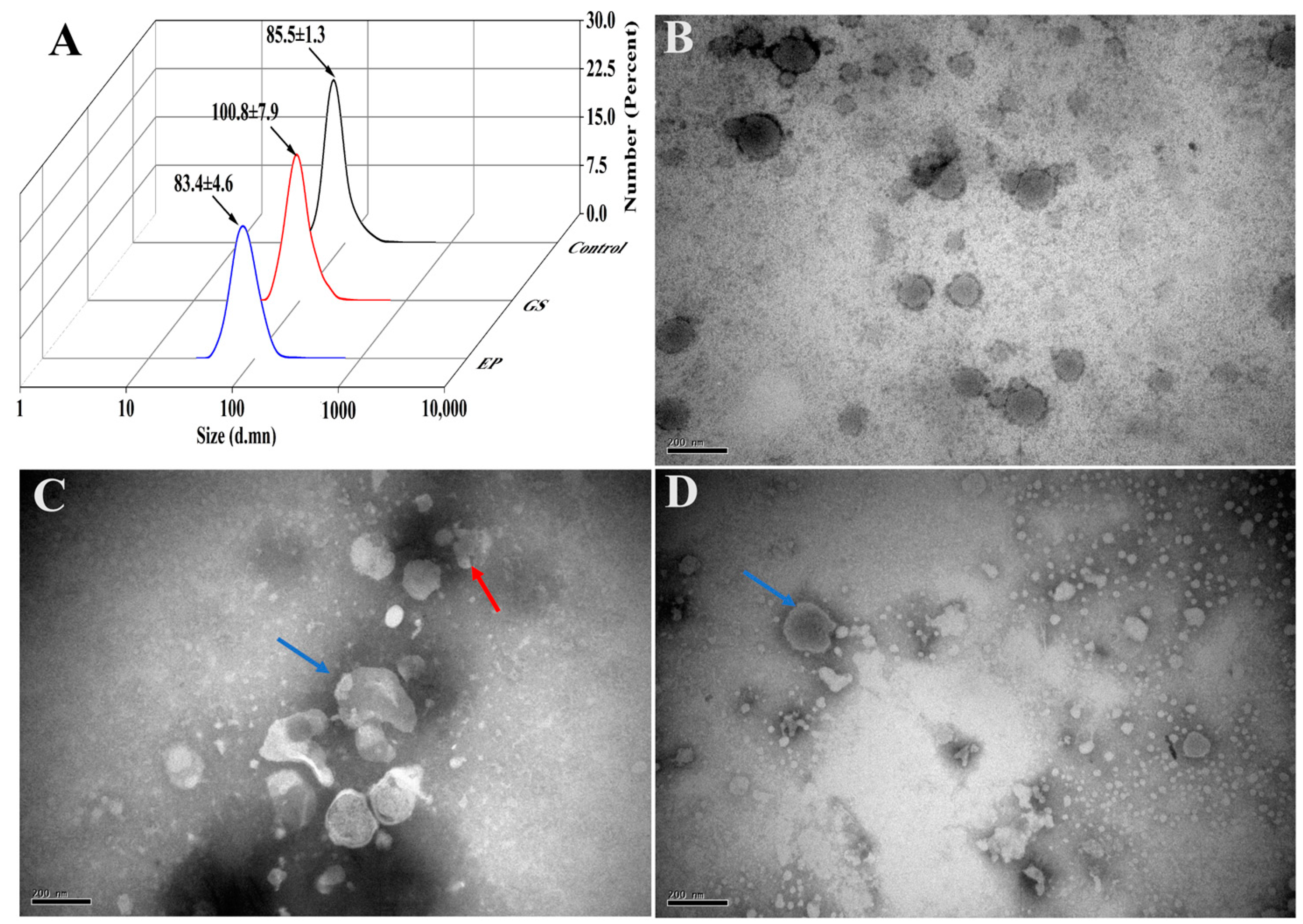 Biomolecules 13 01412 g004