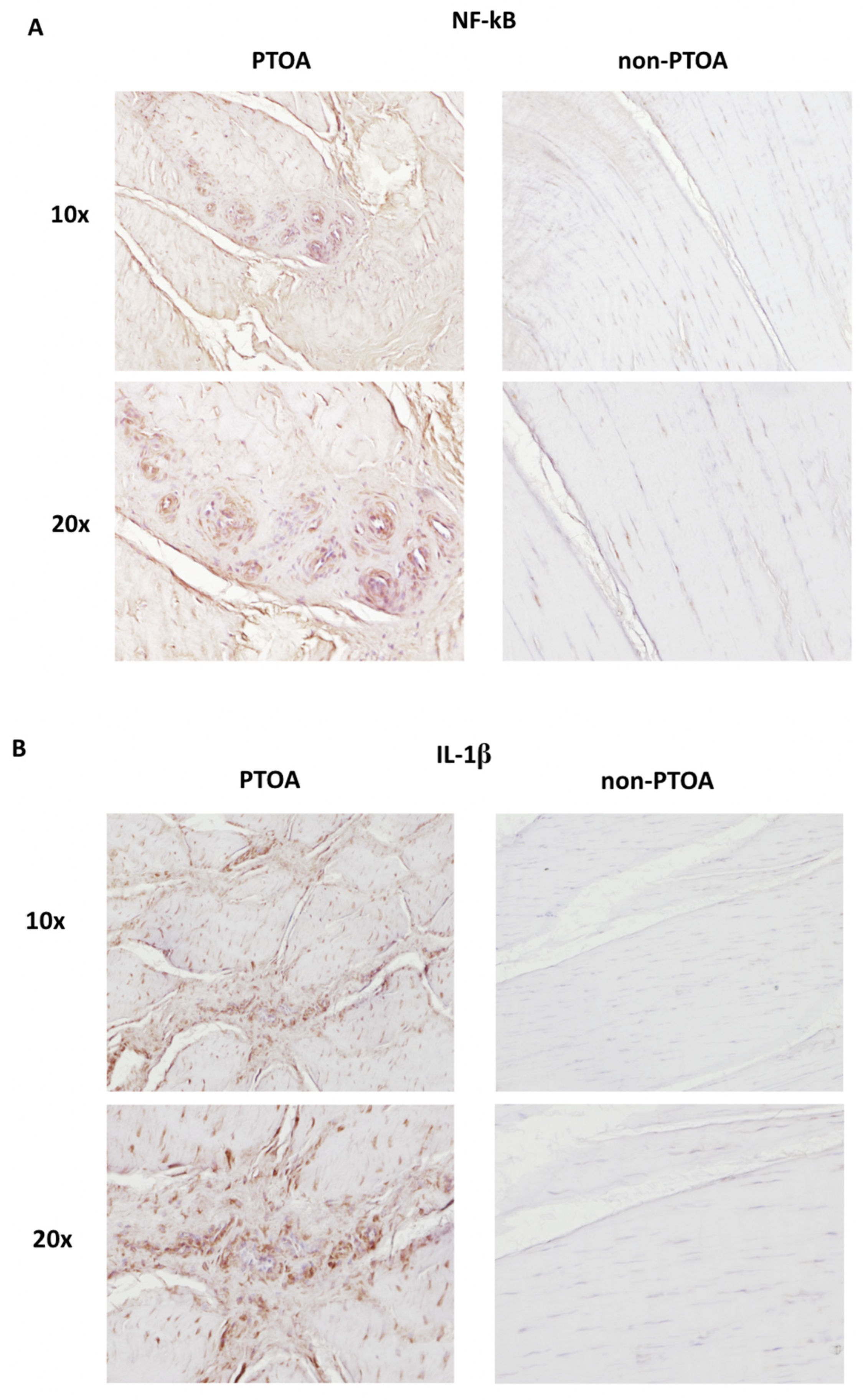 Biomolecules 13 01416 g008 Biomolecules 13 01416 g008