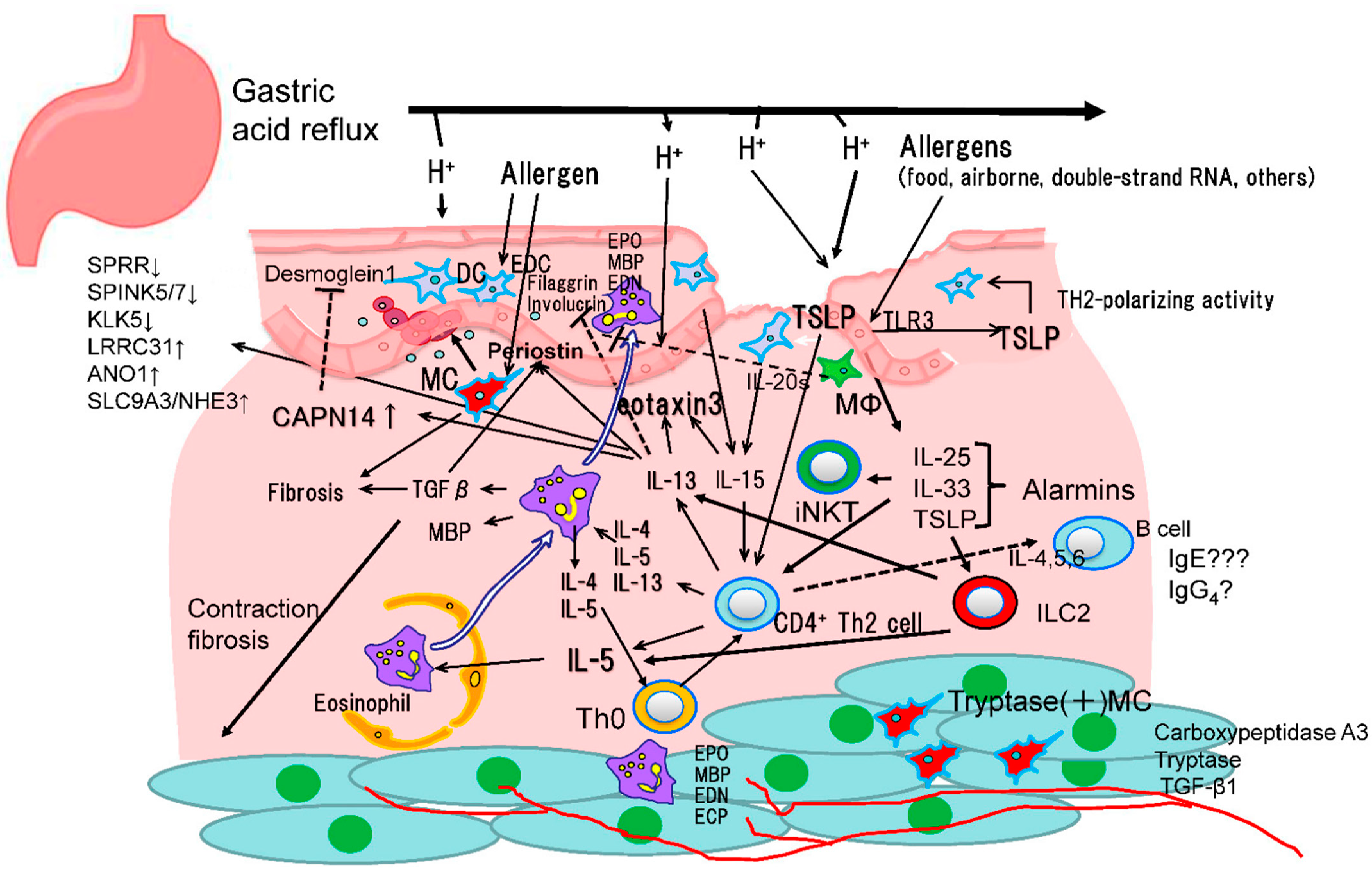 Biomolecules 13 01417 g001