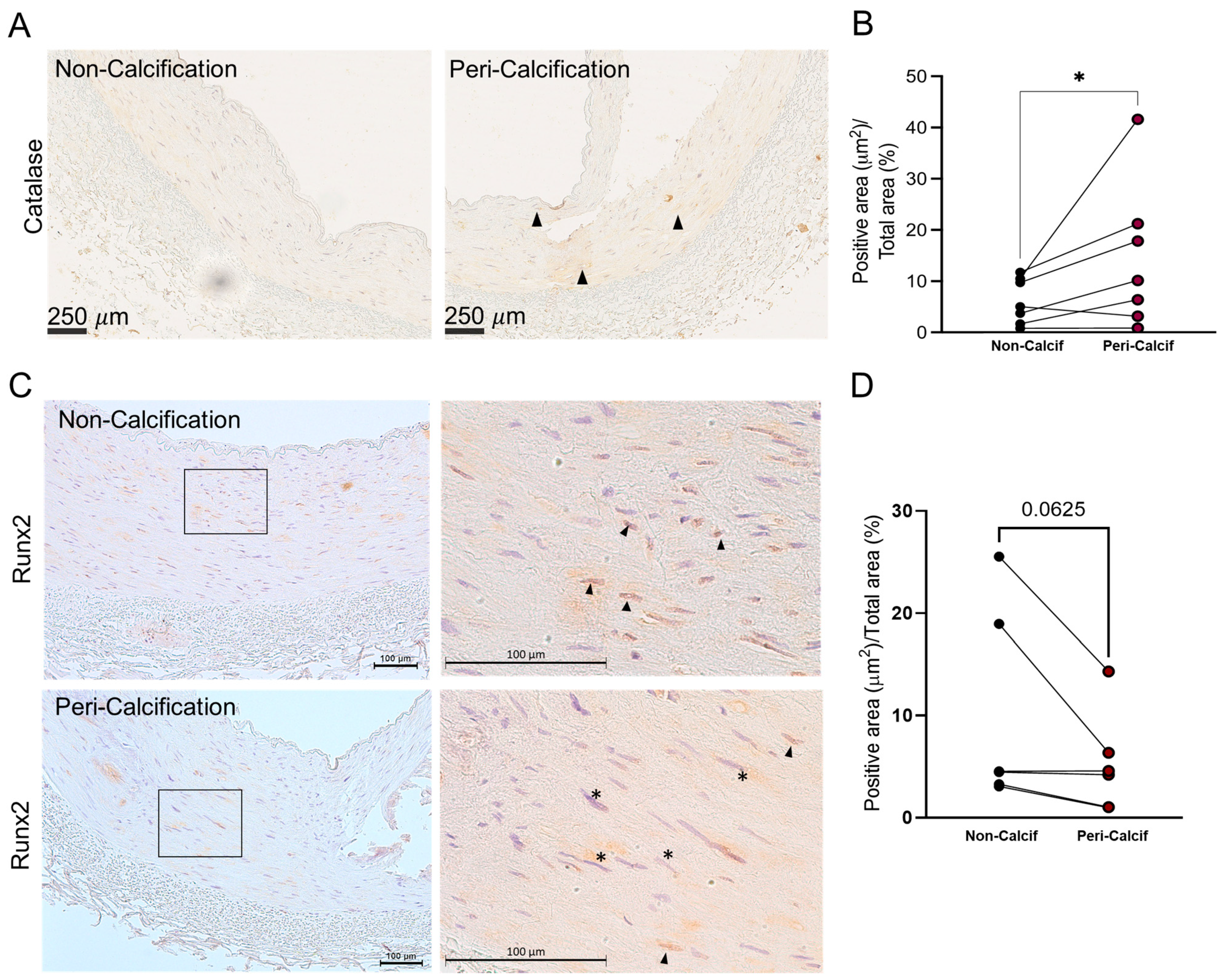 Biomolecules 13 01419 g001 Biomolecules 13 01419 g001
