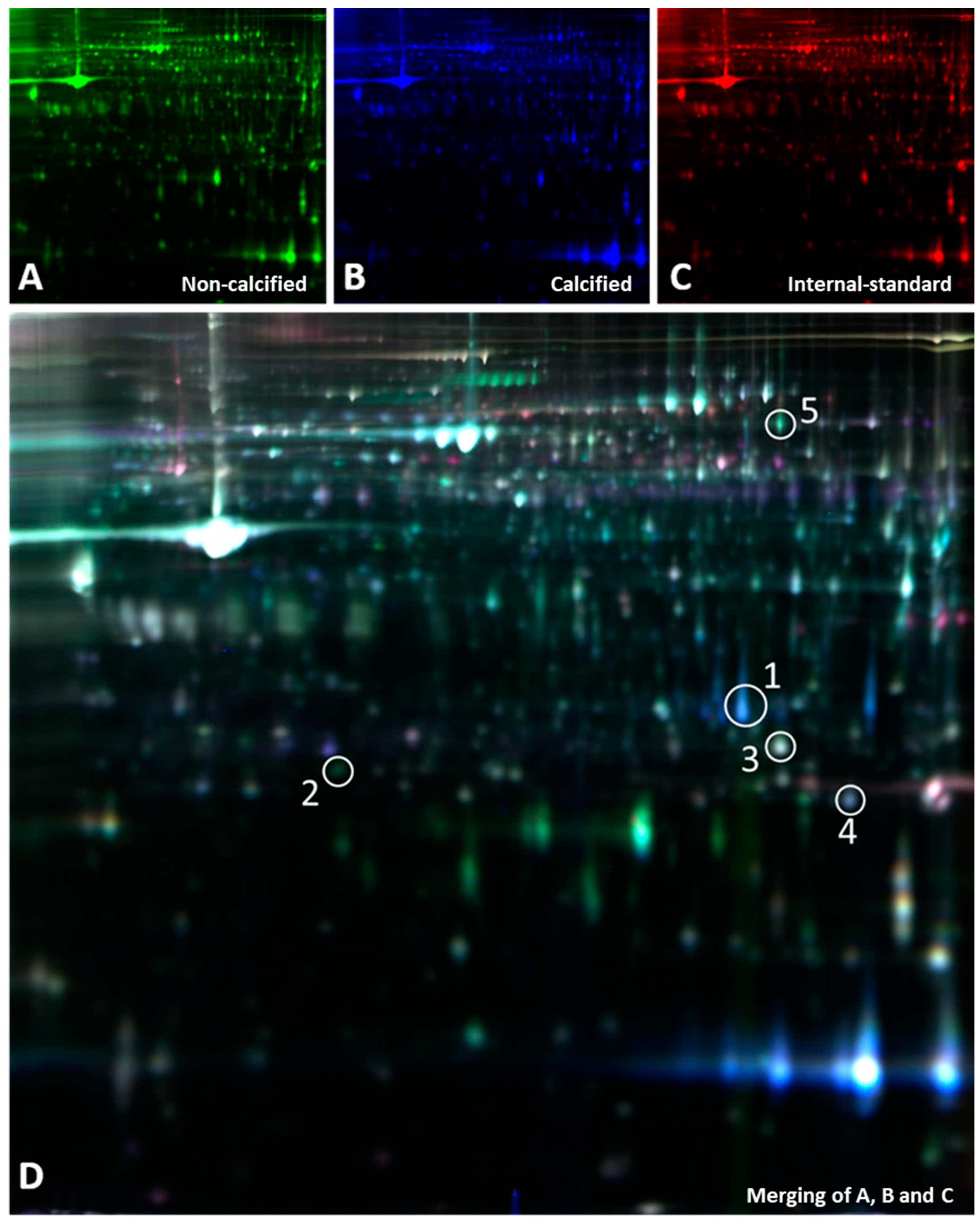 Biomolecules 13 01419 g002 Biomolecules 13 01419 g002