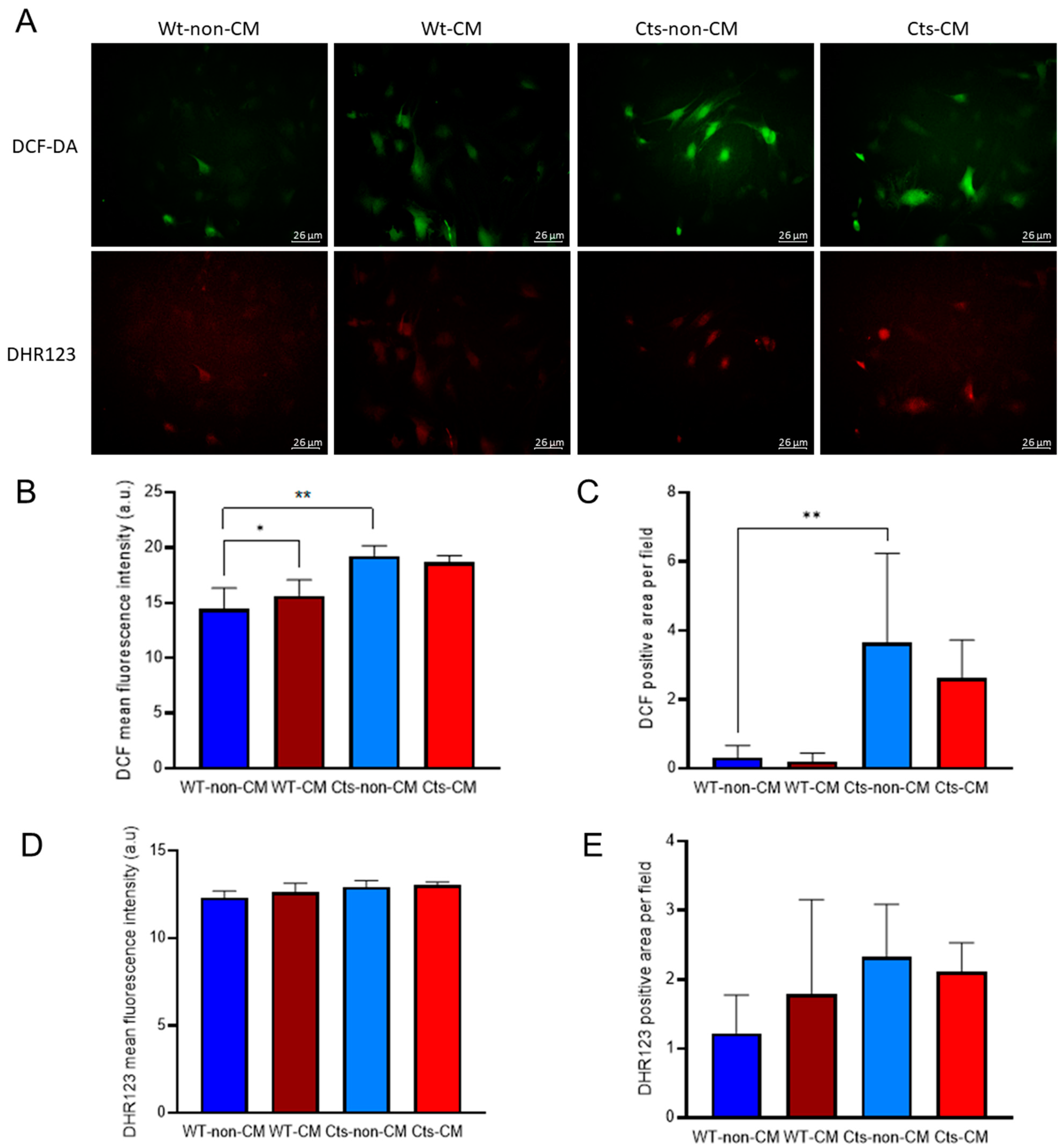 Biomolecules 13 01419 g004 Biomolecules 13 01419 g004