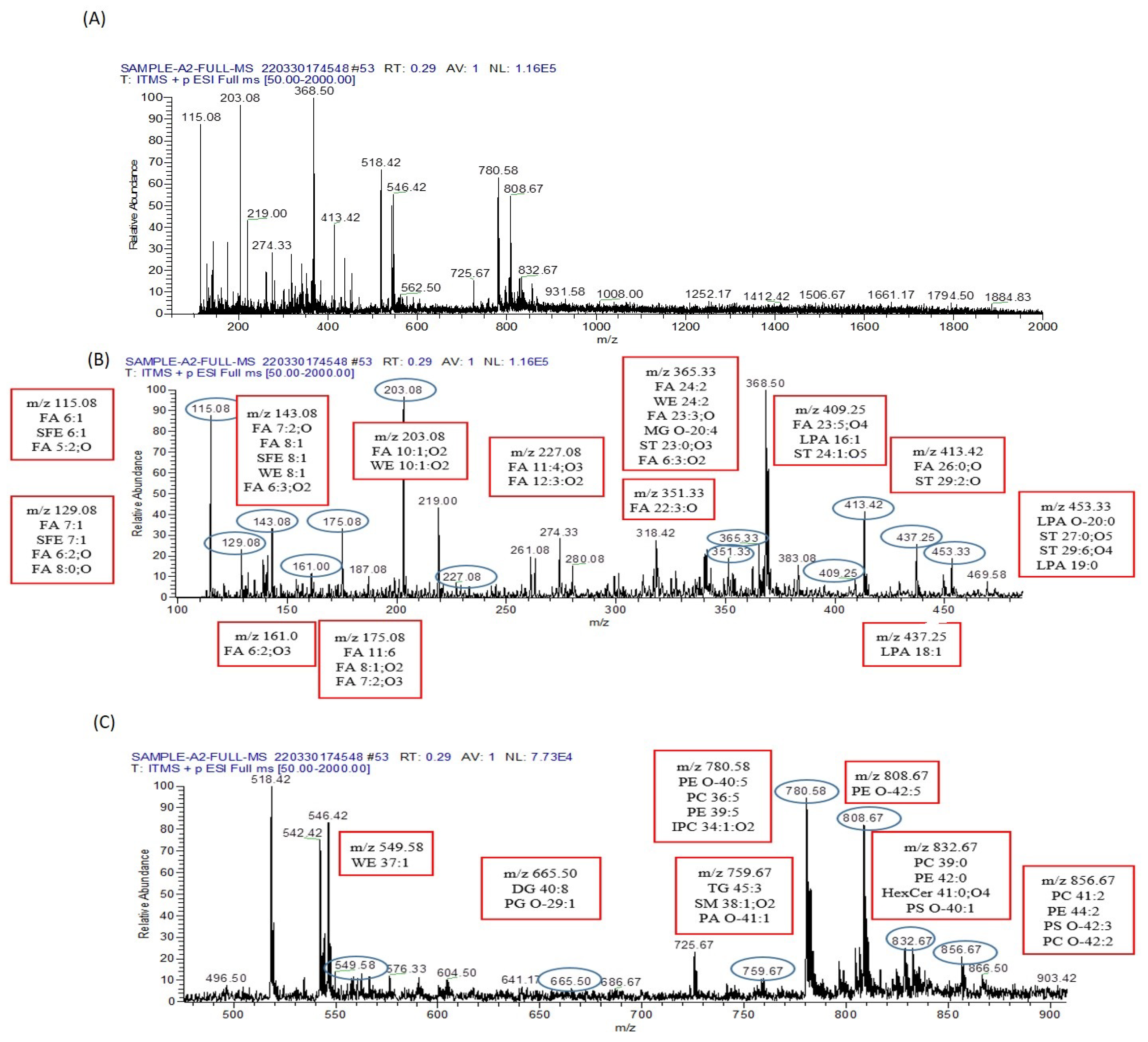 Biomolecules 13 01424 g011