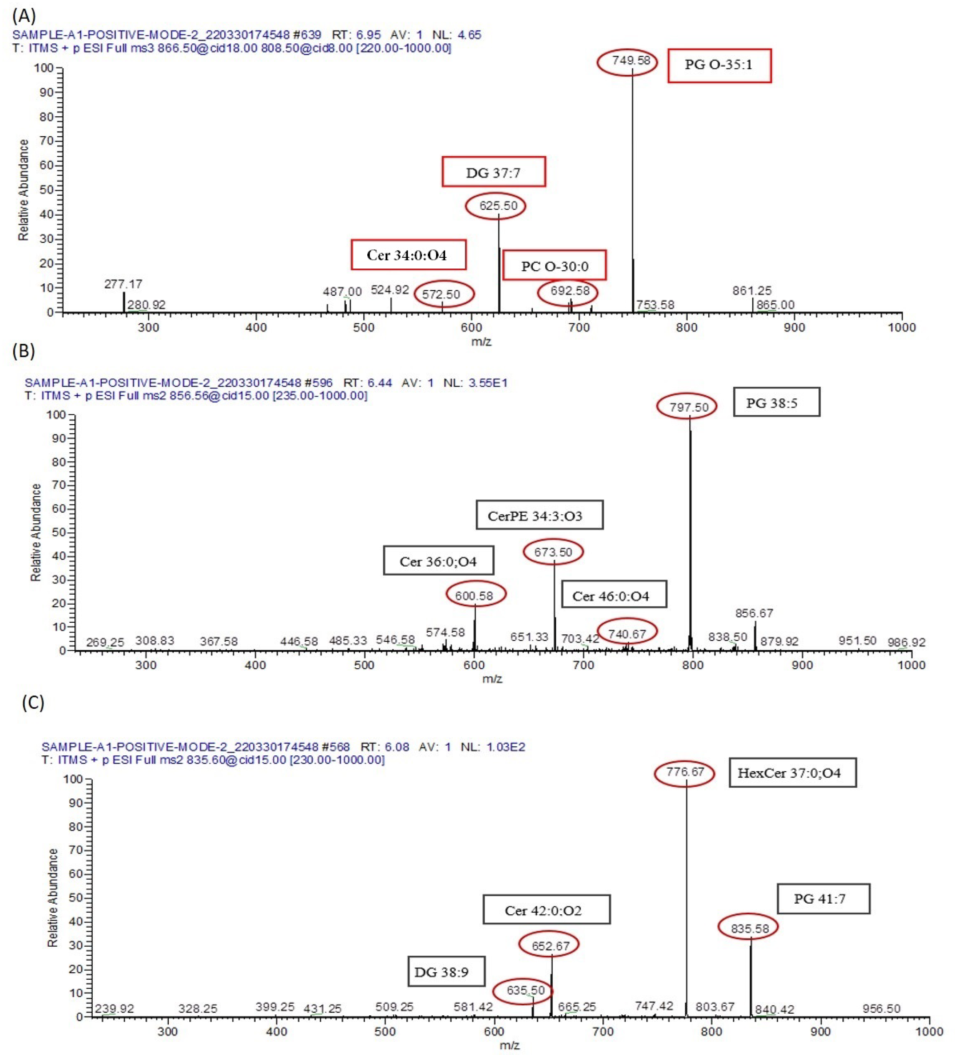Biomolecules 13 01424 g014