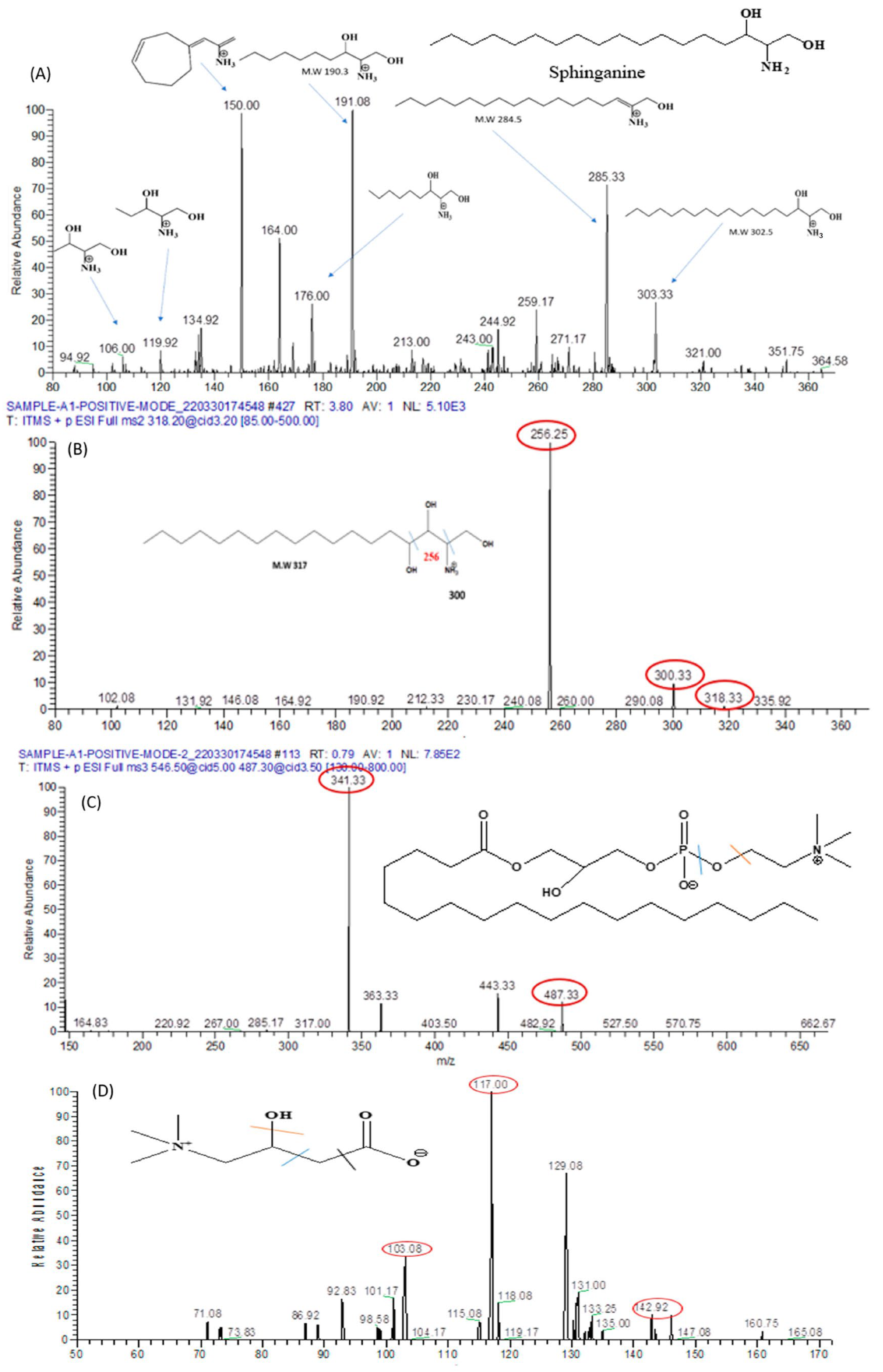 Biomolecules 13 01424 g015