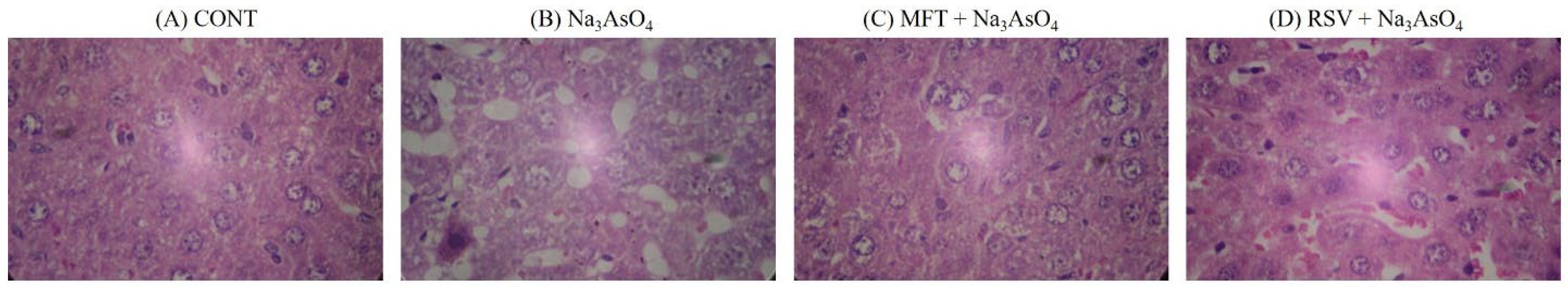 Biomolecules 13 01424 g019