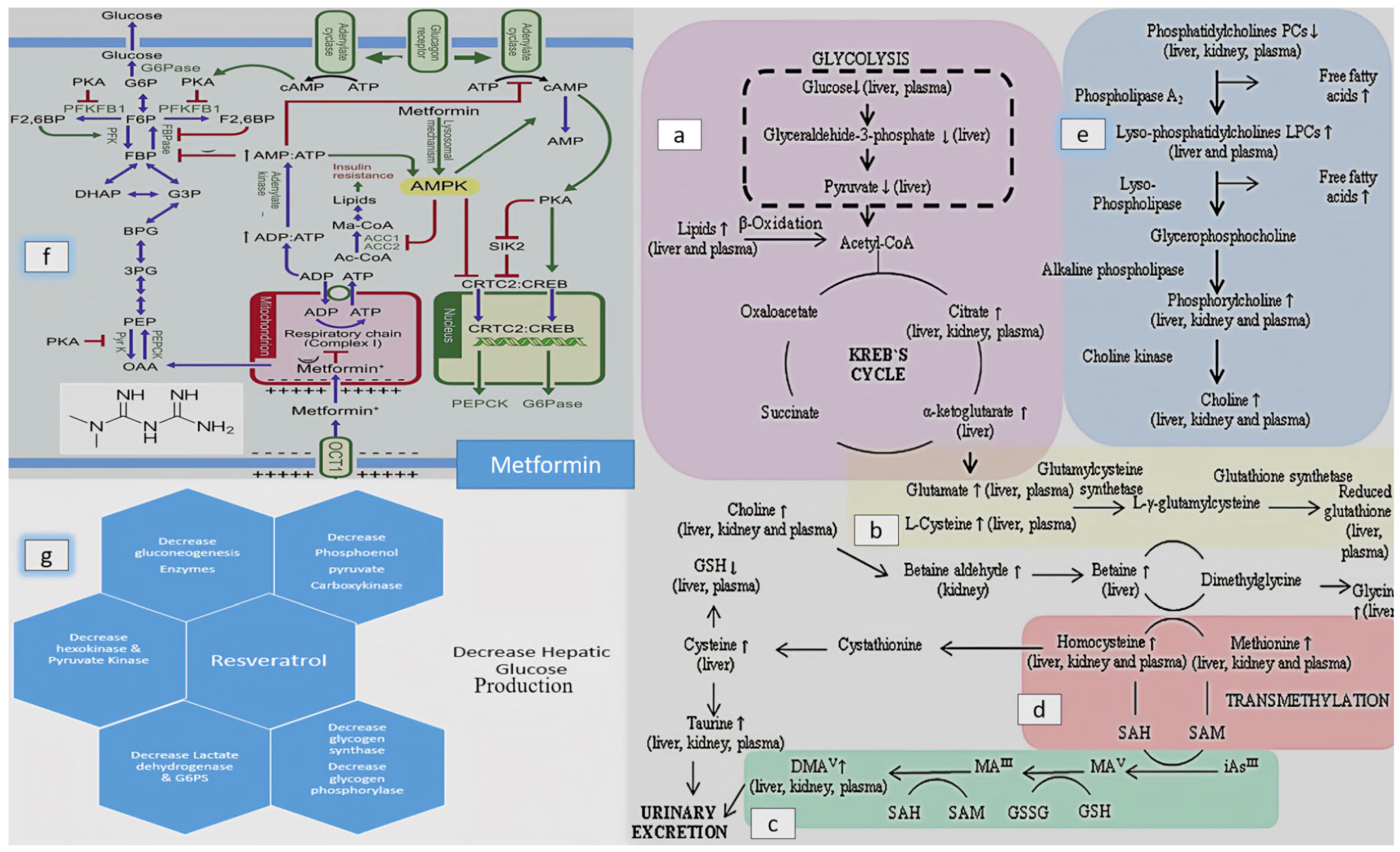 Biomolecules 13 01424 g020