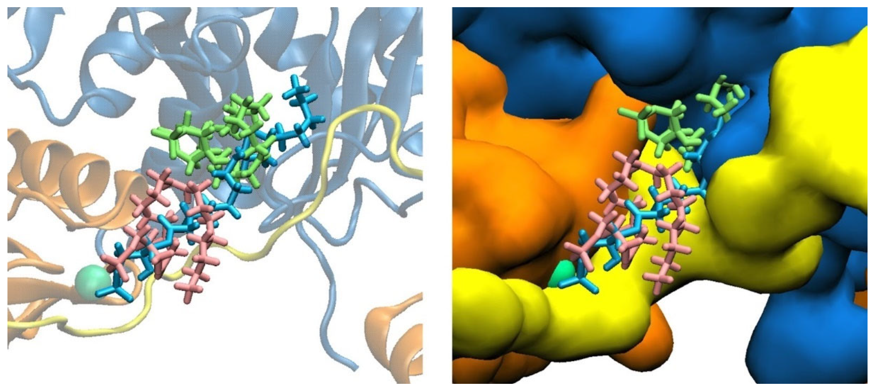 Biomolecules 13 01426 g003