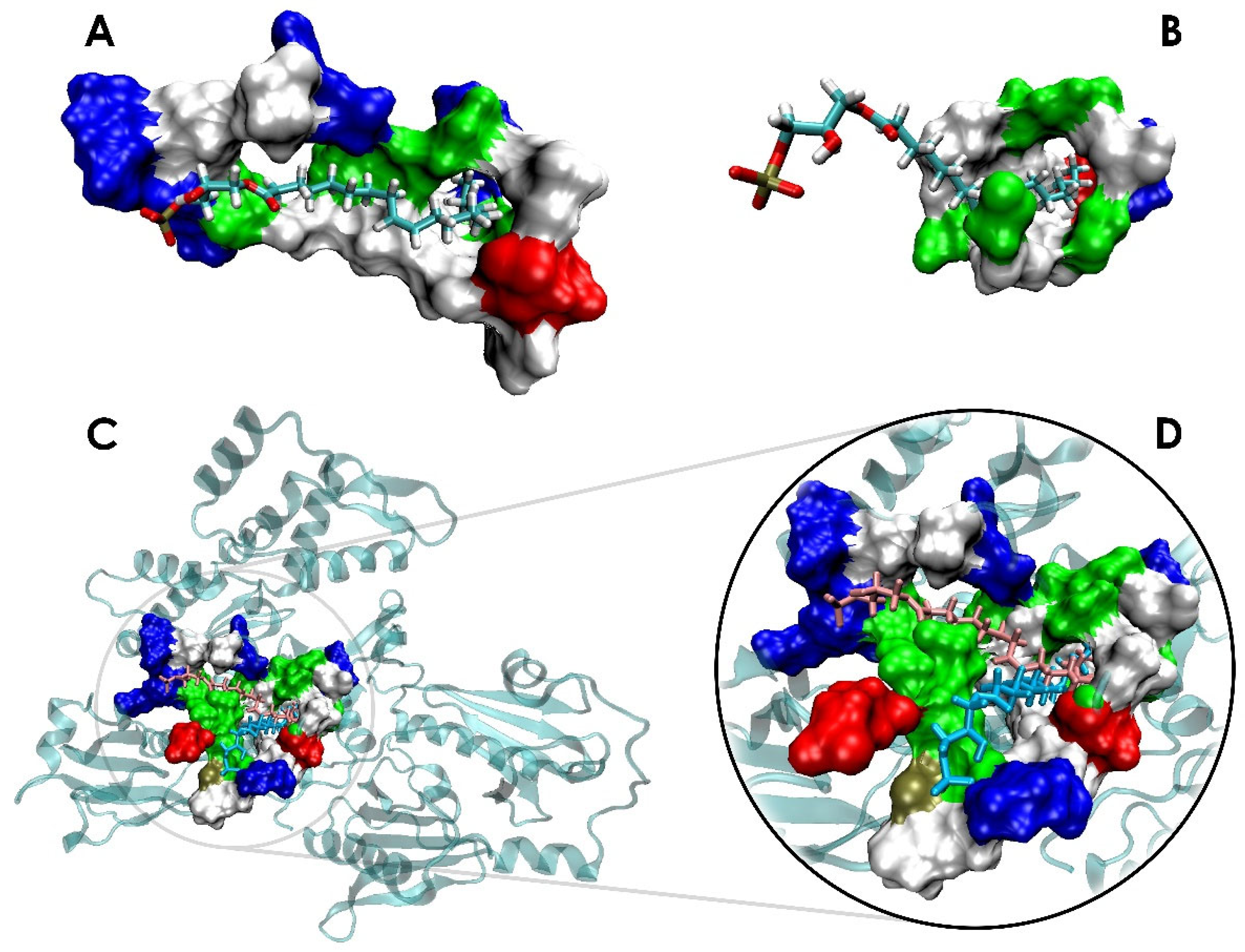Biomolecules 13 01426 g004