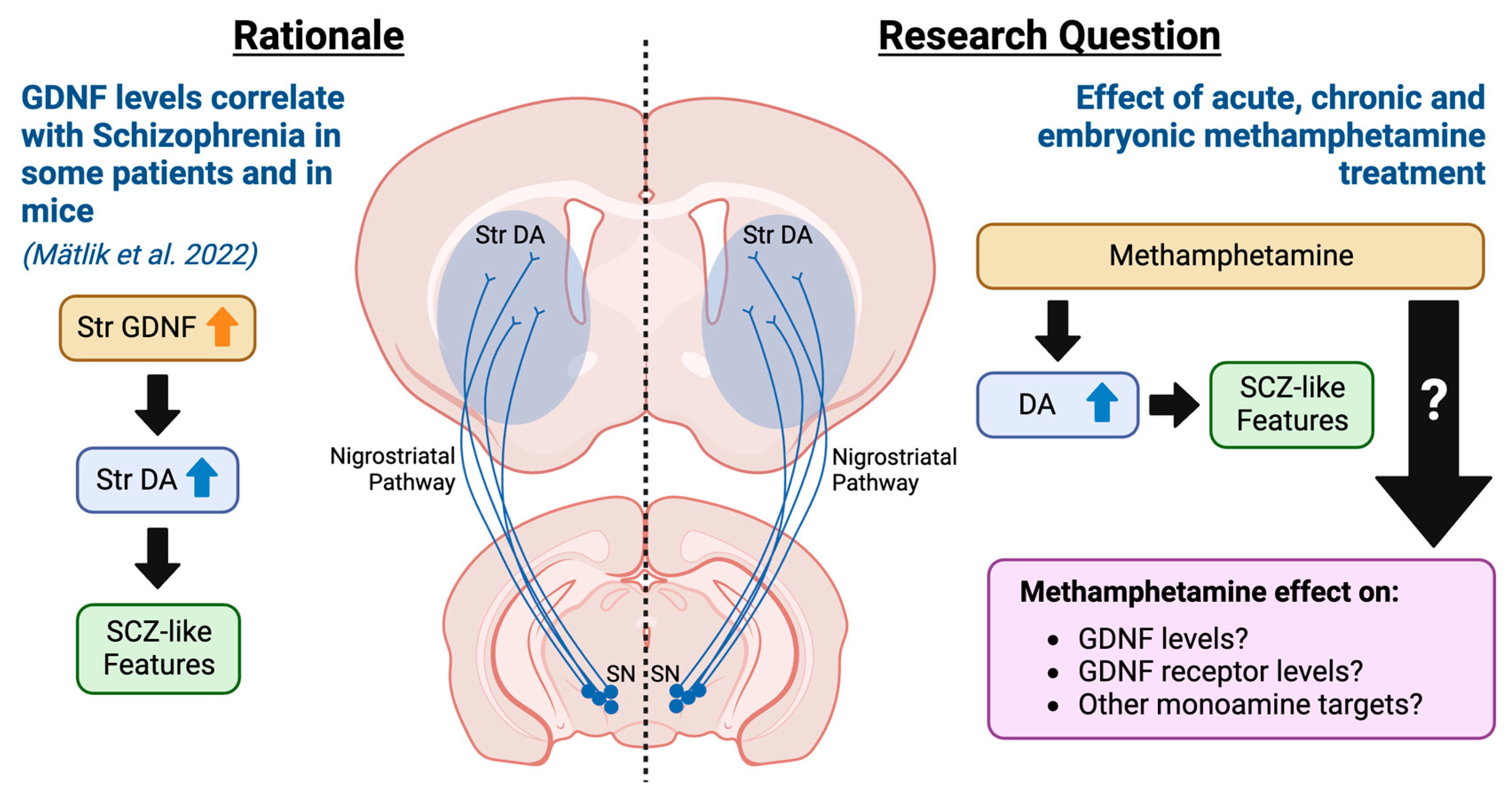 Biomolecules 13 01428 g001