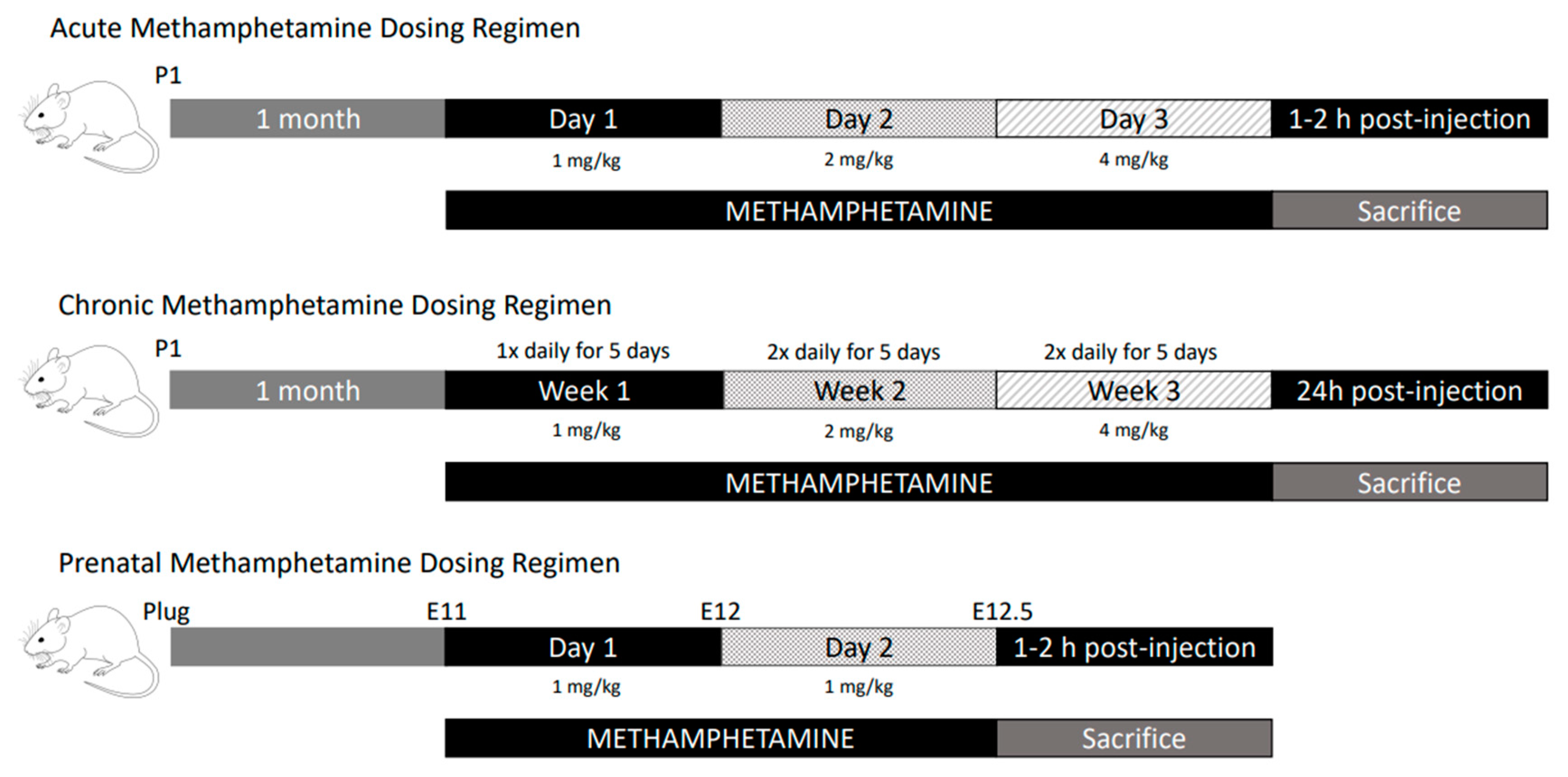 Biomolecules 13 01428 g002