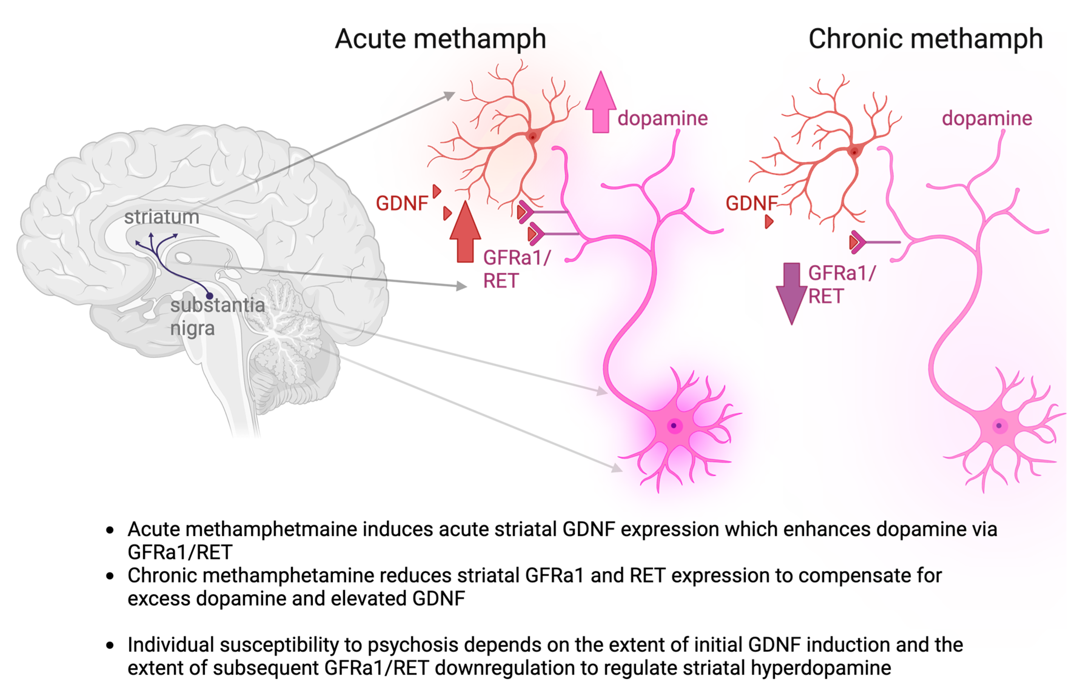 Biomolecules 13 01428 g006