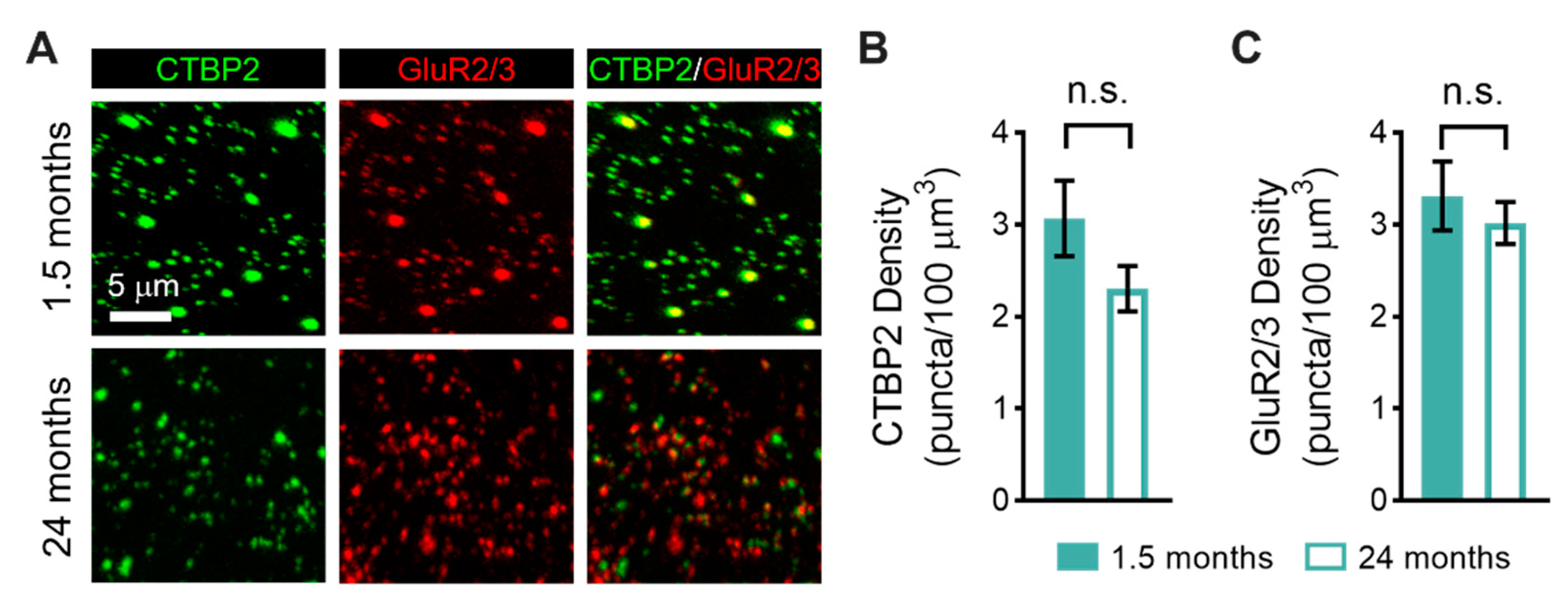 Biomolecules 13 01429 g003