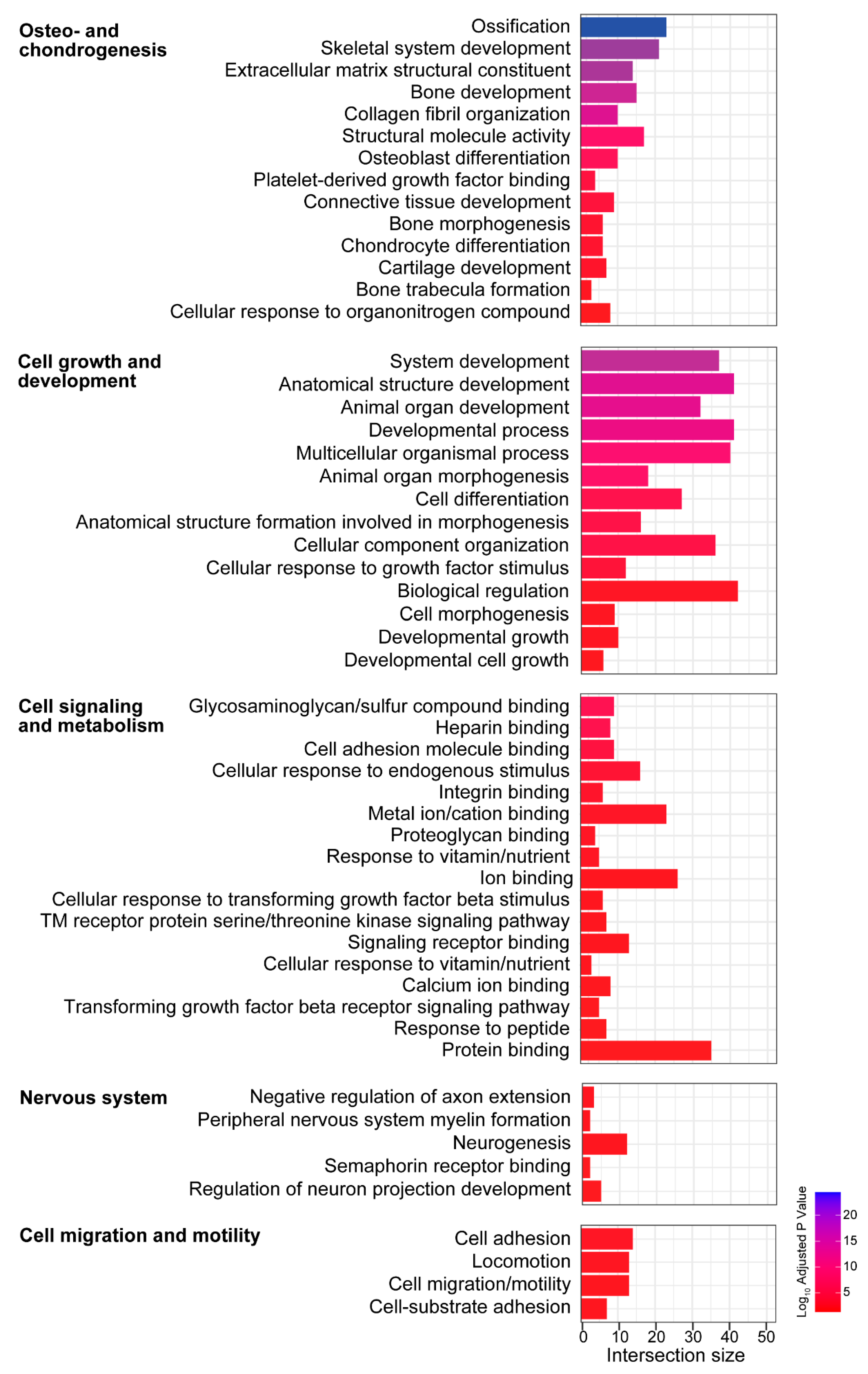 Biomolecules 13 01429 g006
