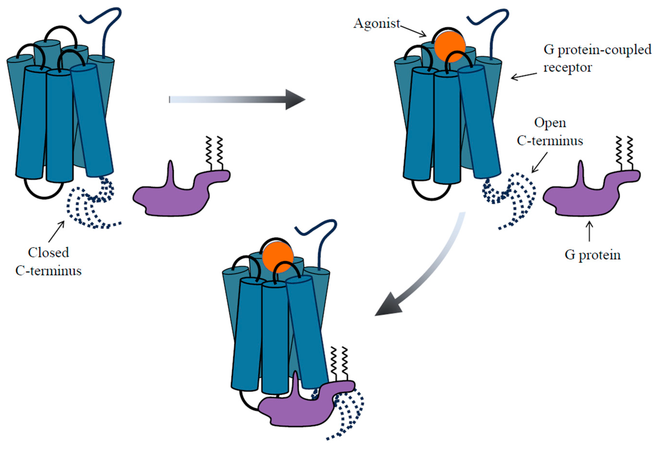 Biomolecules 13 01431 g001