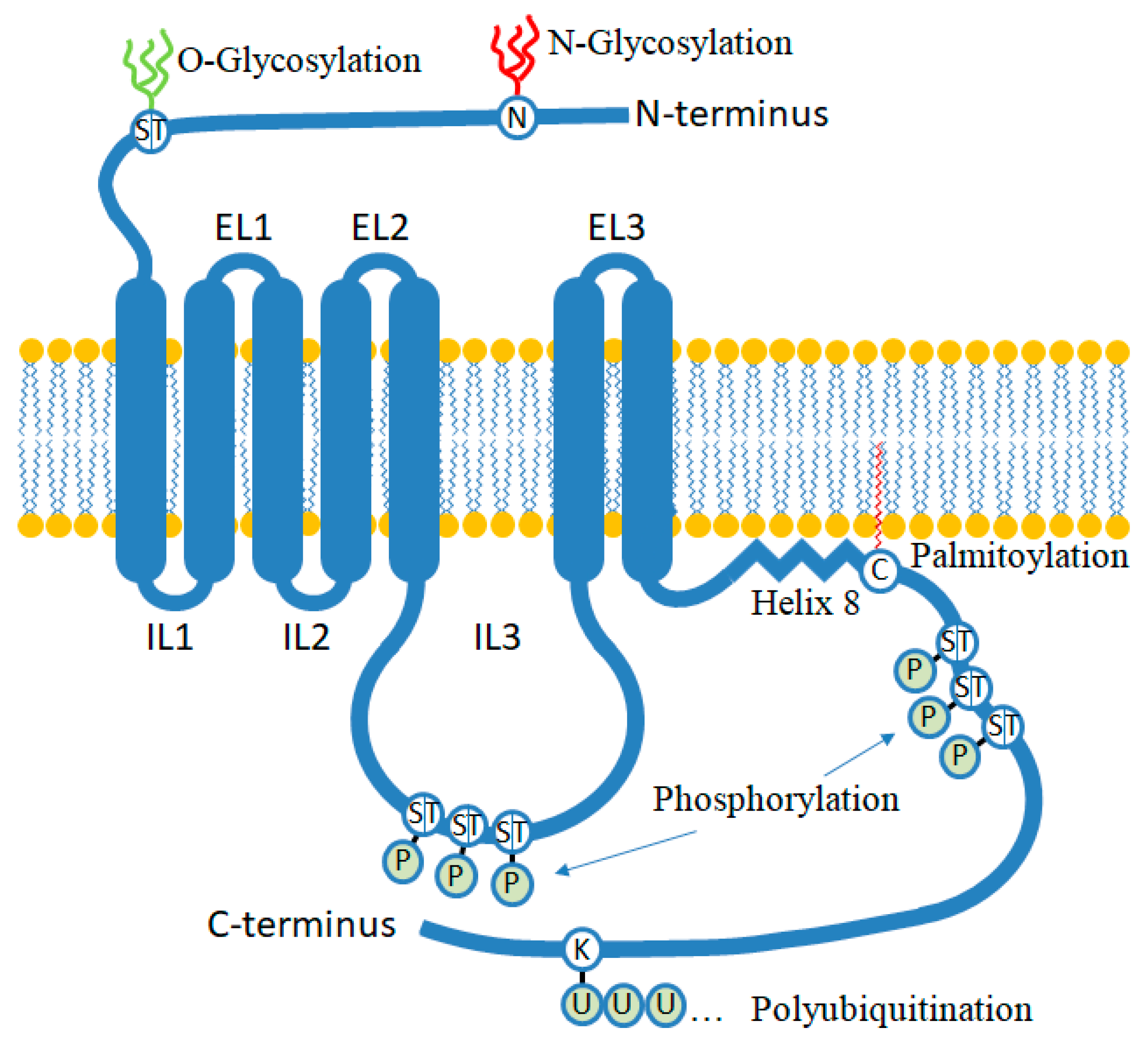 Biomolecules 13 01431 g002