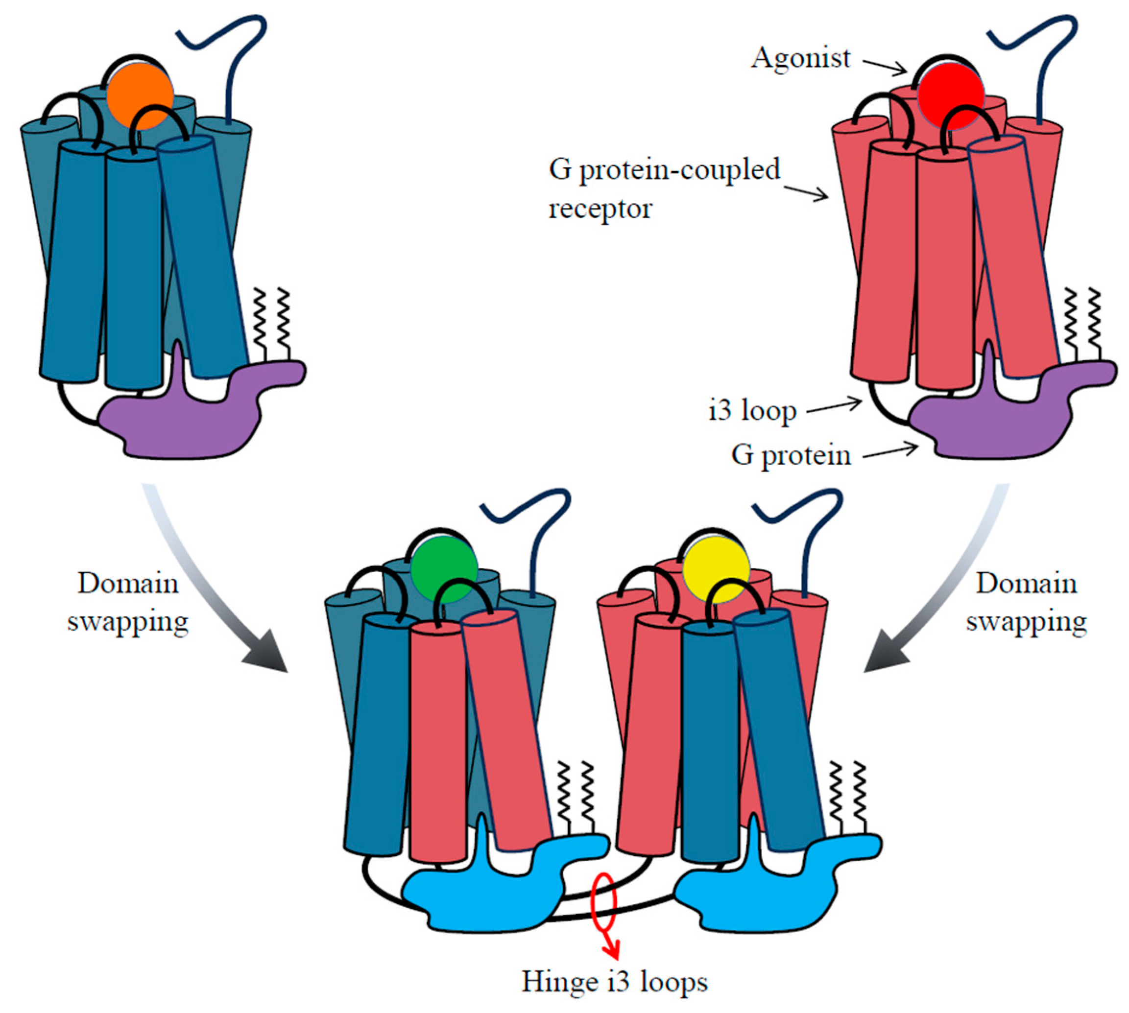 Biomolecules 13 01431 g003