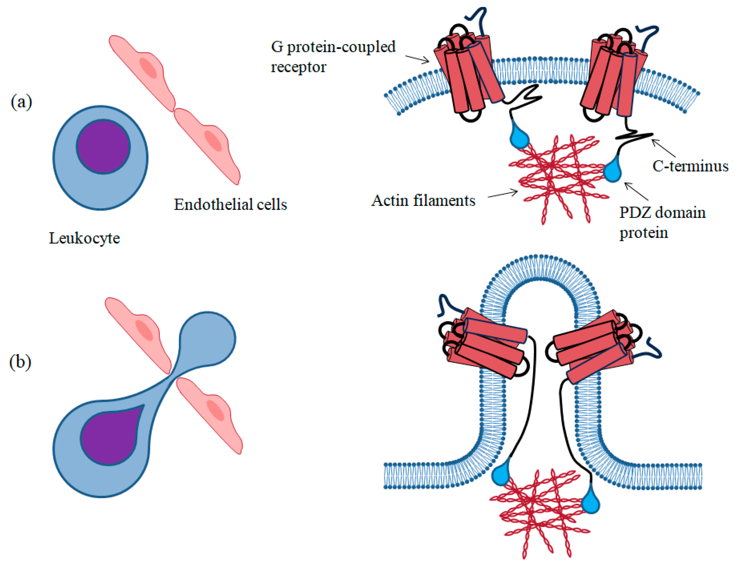 Biomolecules 13 01431 g004