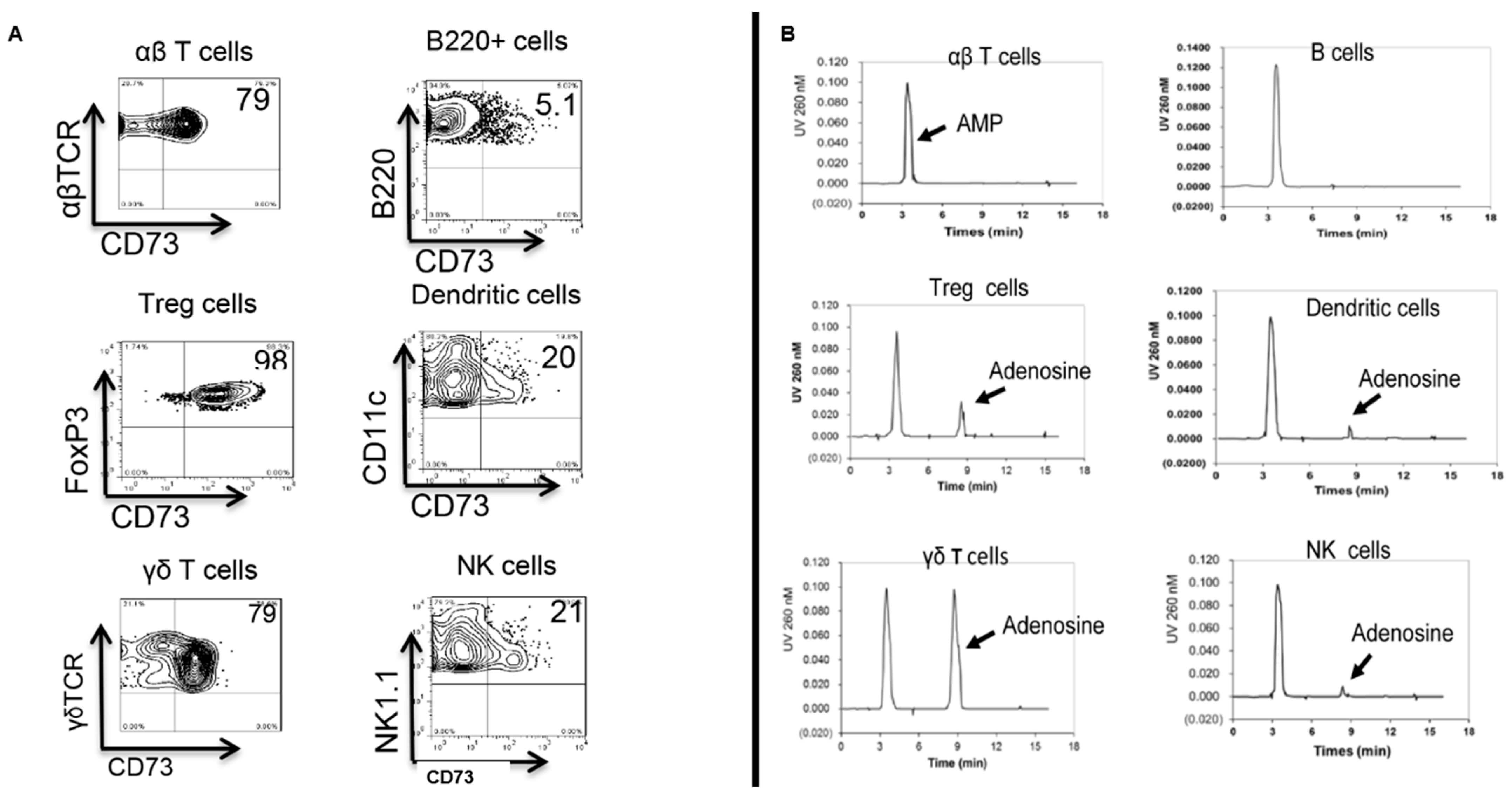 Biomolecules 13 01432 g001