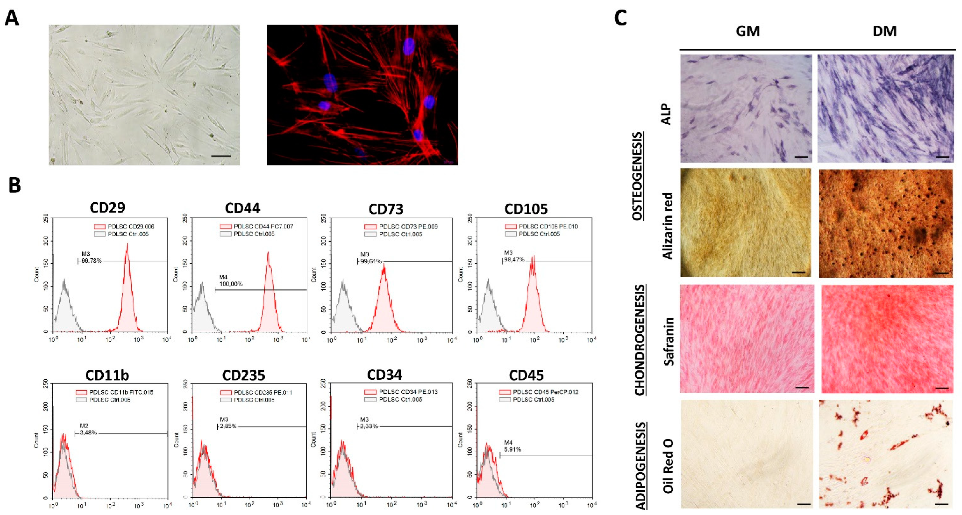 Biomolecules 13 01437 g001