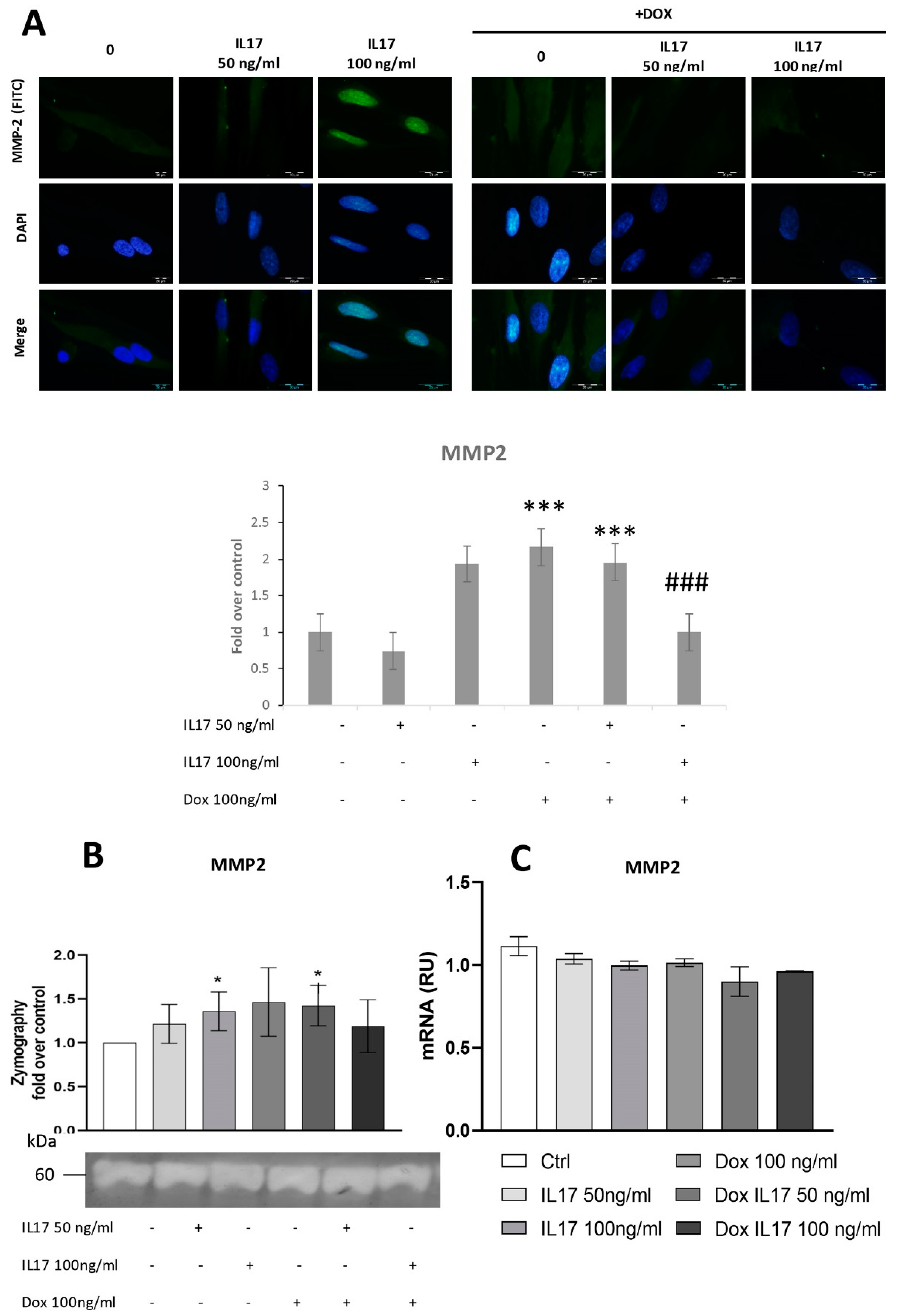 Biomolecules 13 01437 g003