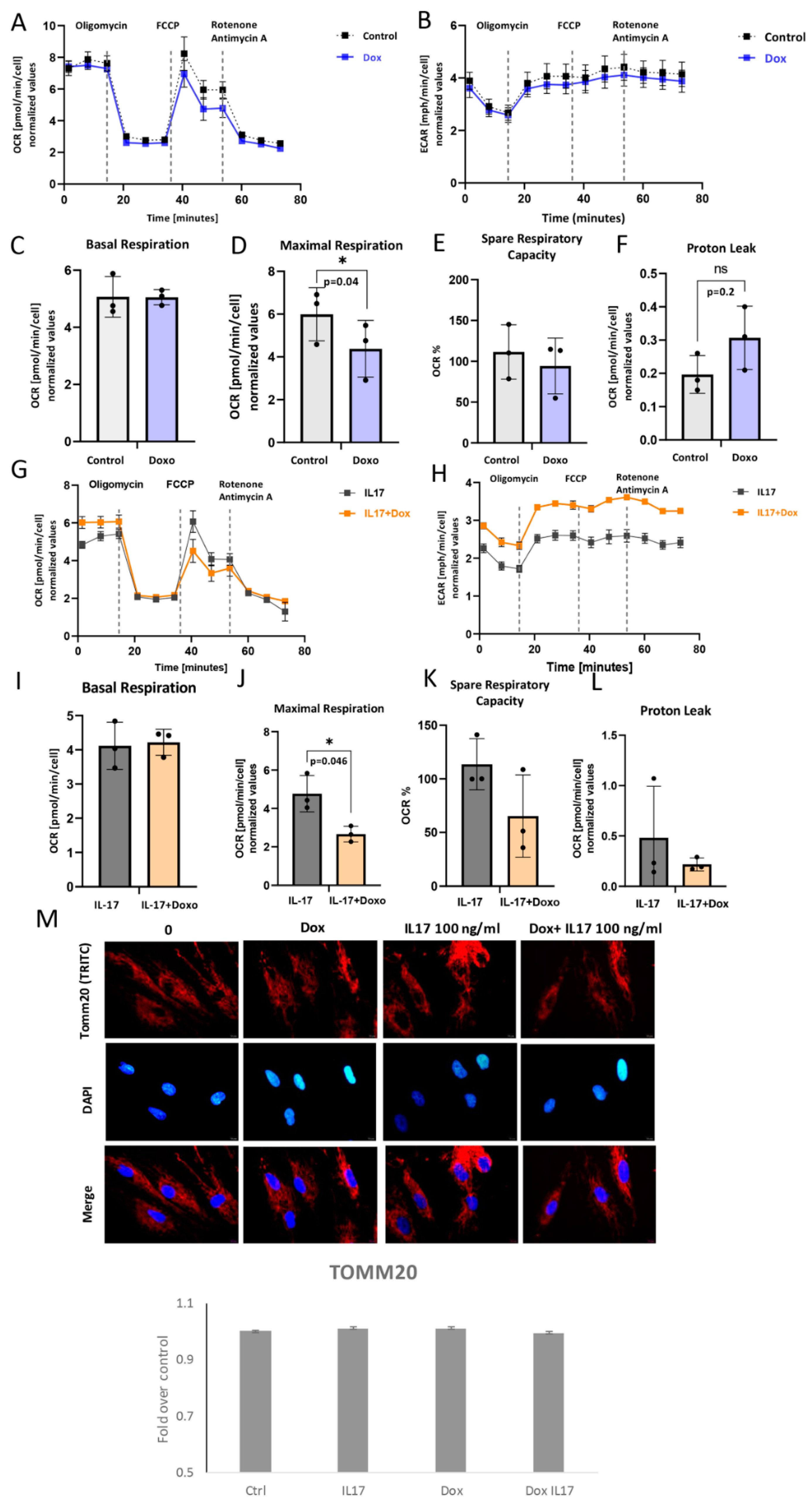 Biomolecules 13 01437 g005