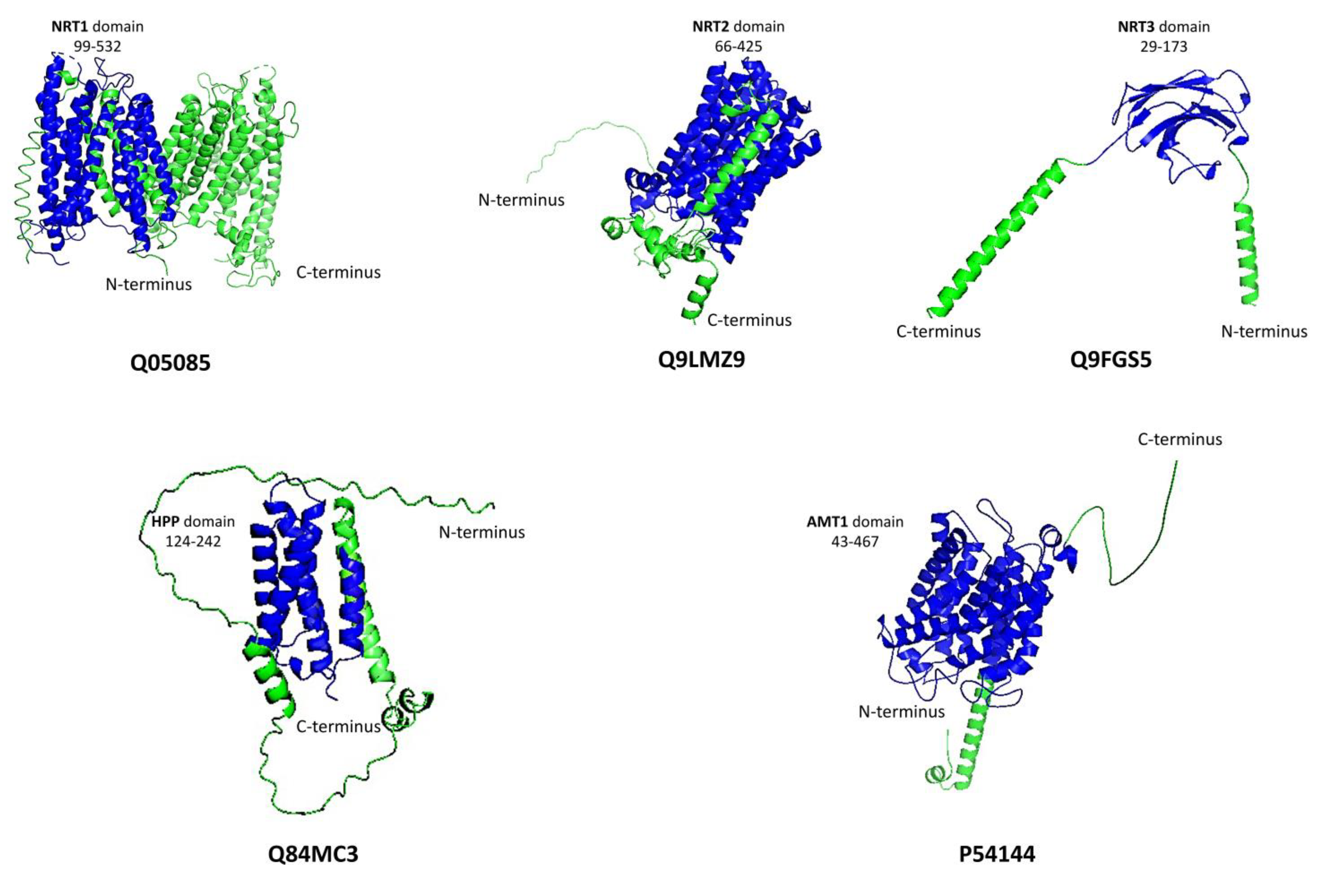 Biomolecules 13 01443 g001