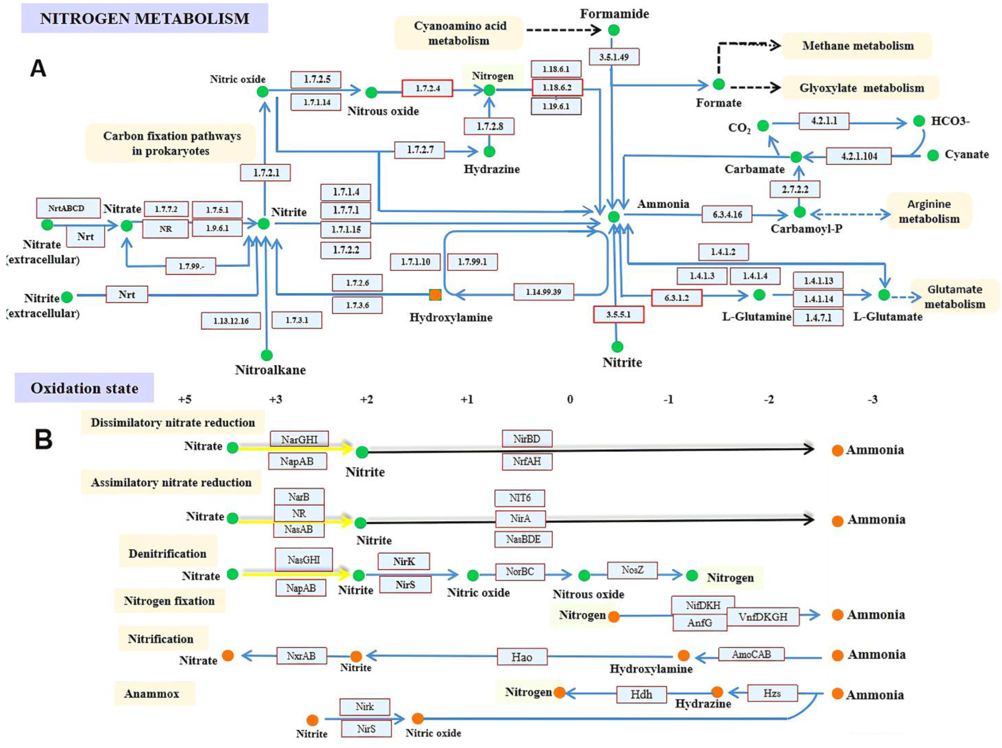 Biomolecules 13 01443 g002