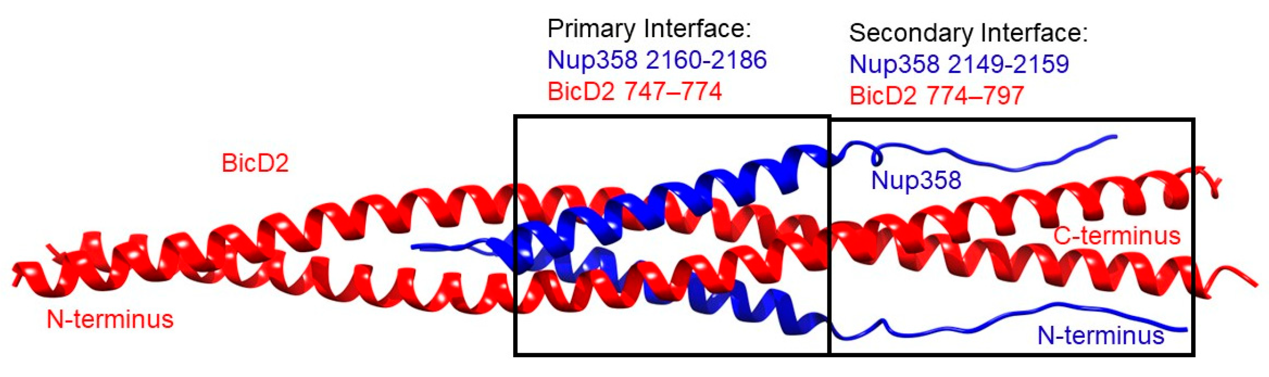 Biomolecules 13 01445 g002 Biomolecules 13 01445 g002