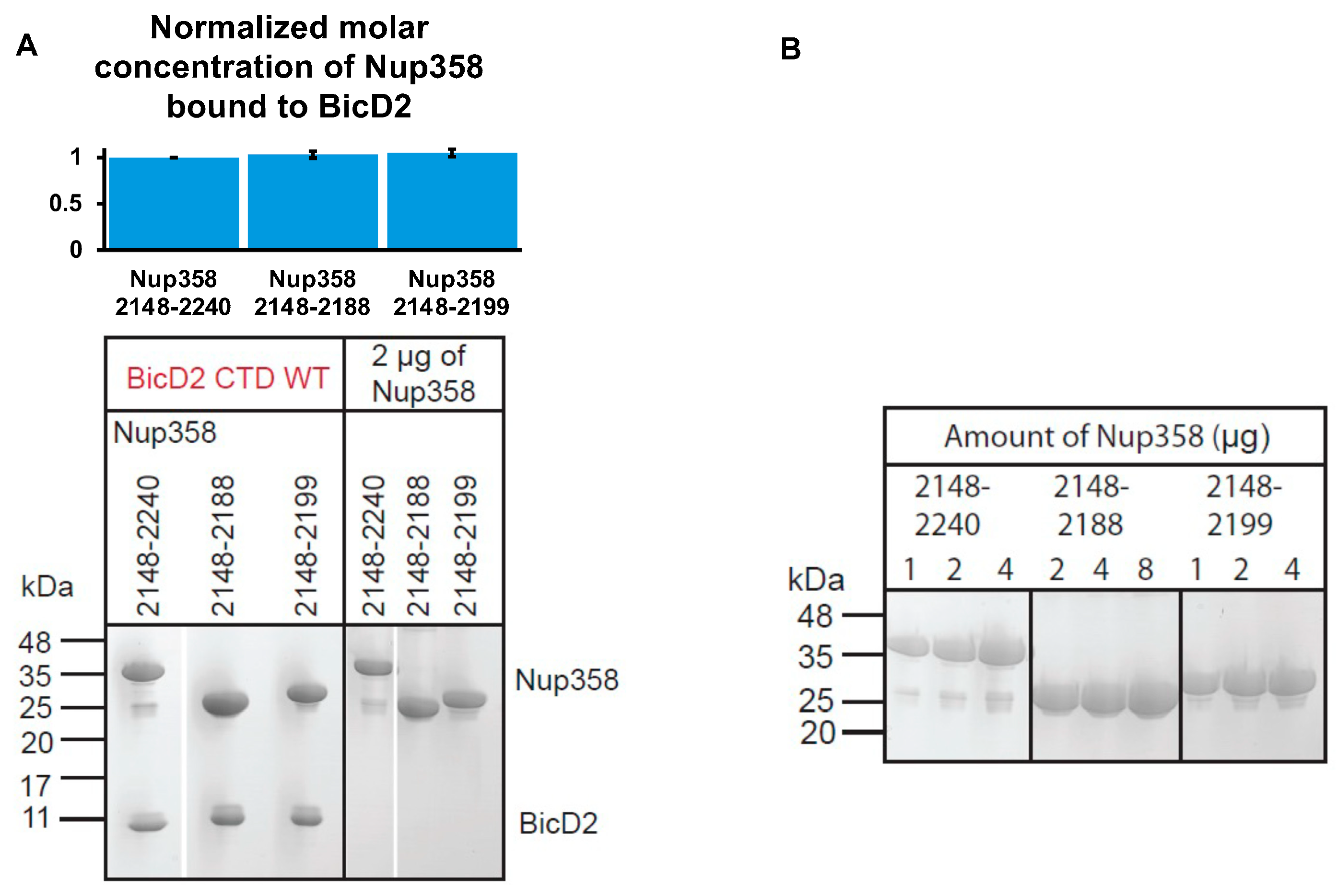 Biomolecules 13 01445 g004 Biomolecules 13 01445 g004