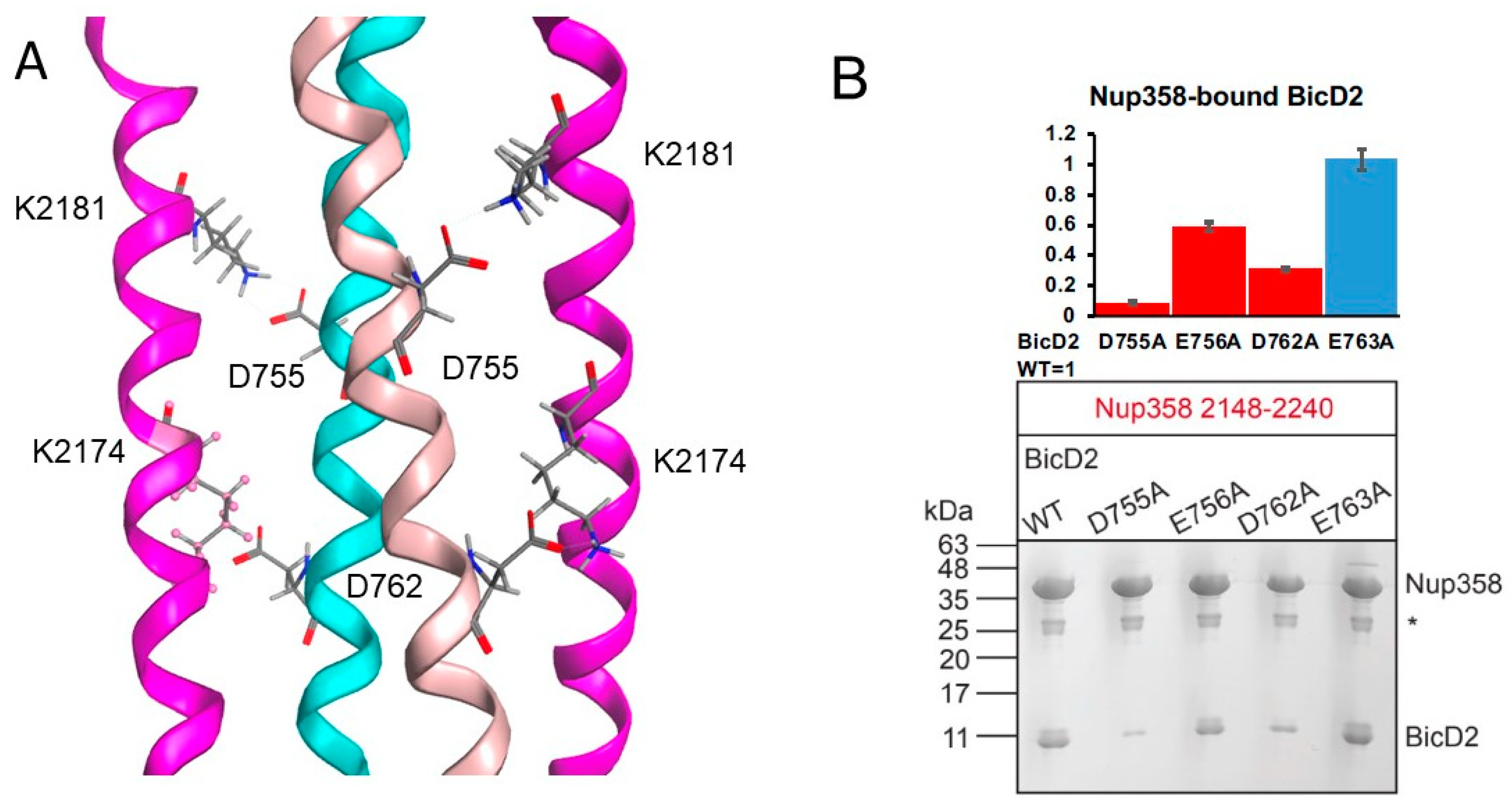 Biomolecules 13 01445 g006 Biomolecules 13 01445 g006