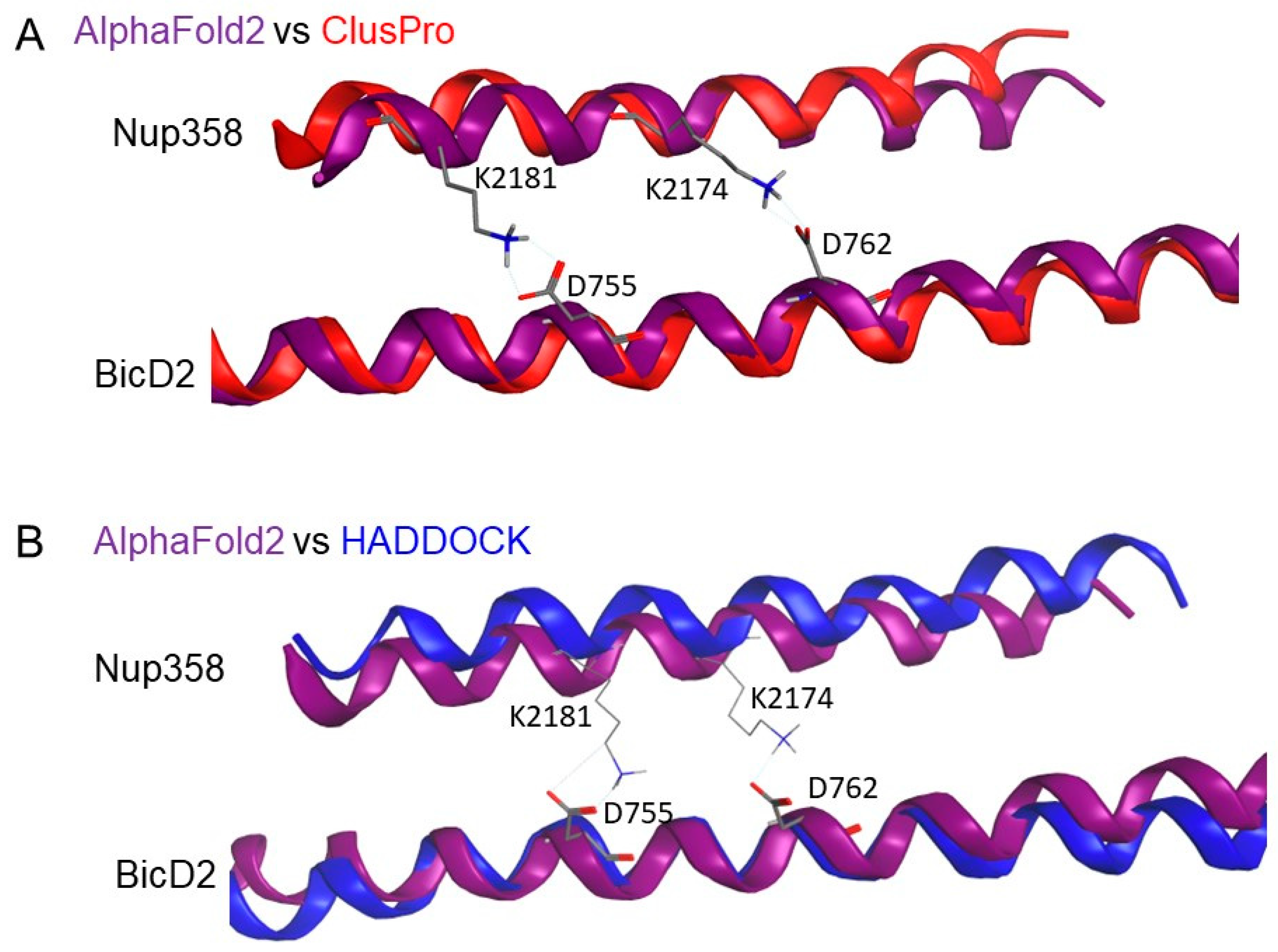 Biomolecules 13 01445 g007 Biomolecules 13 01445 g007