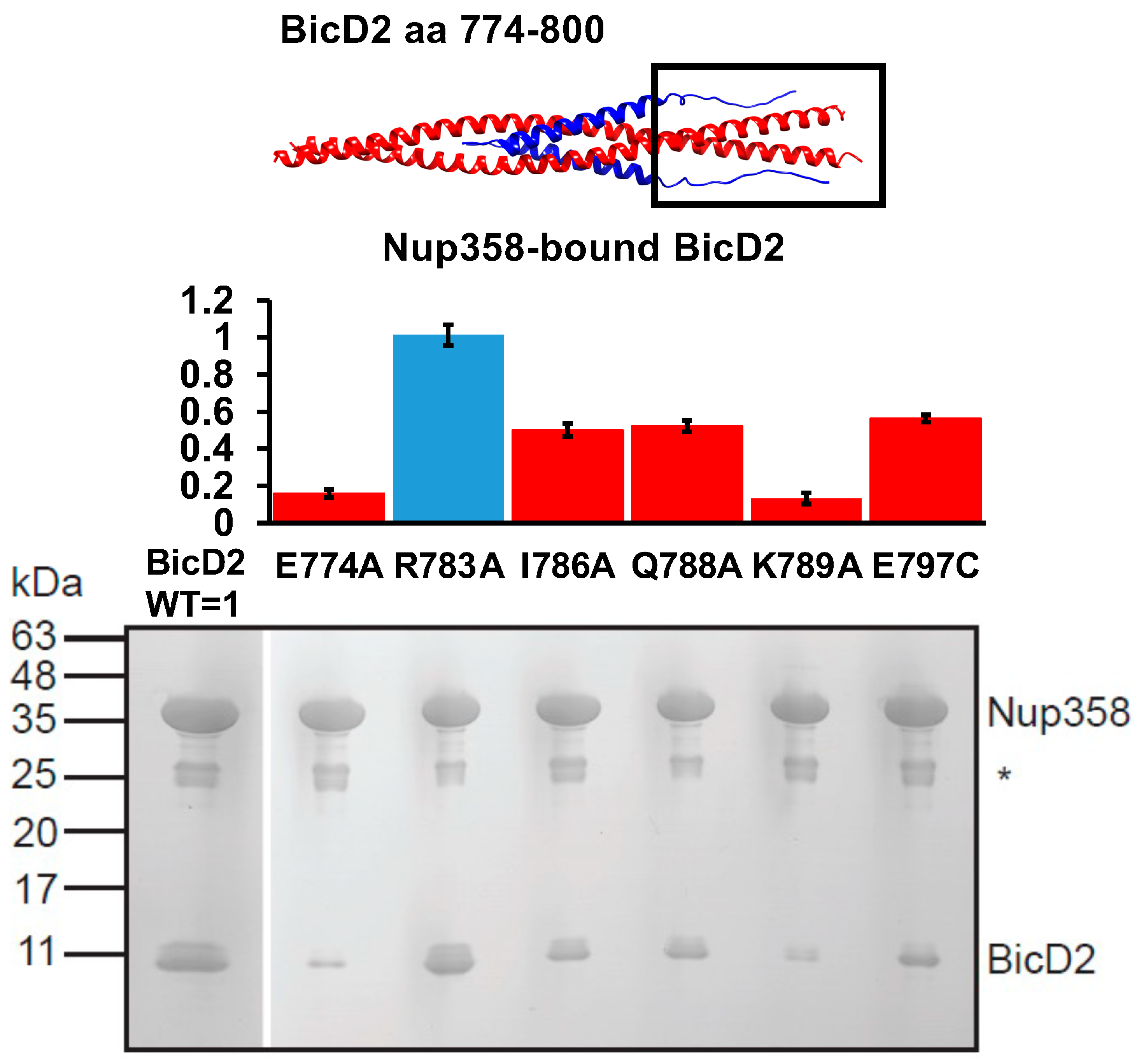 Biomolecules 13 01445 g008 Biomolecules 13 01445 g008