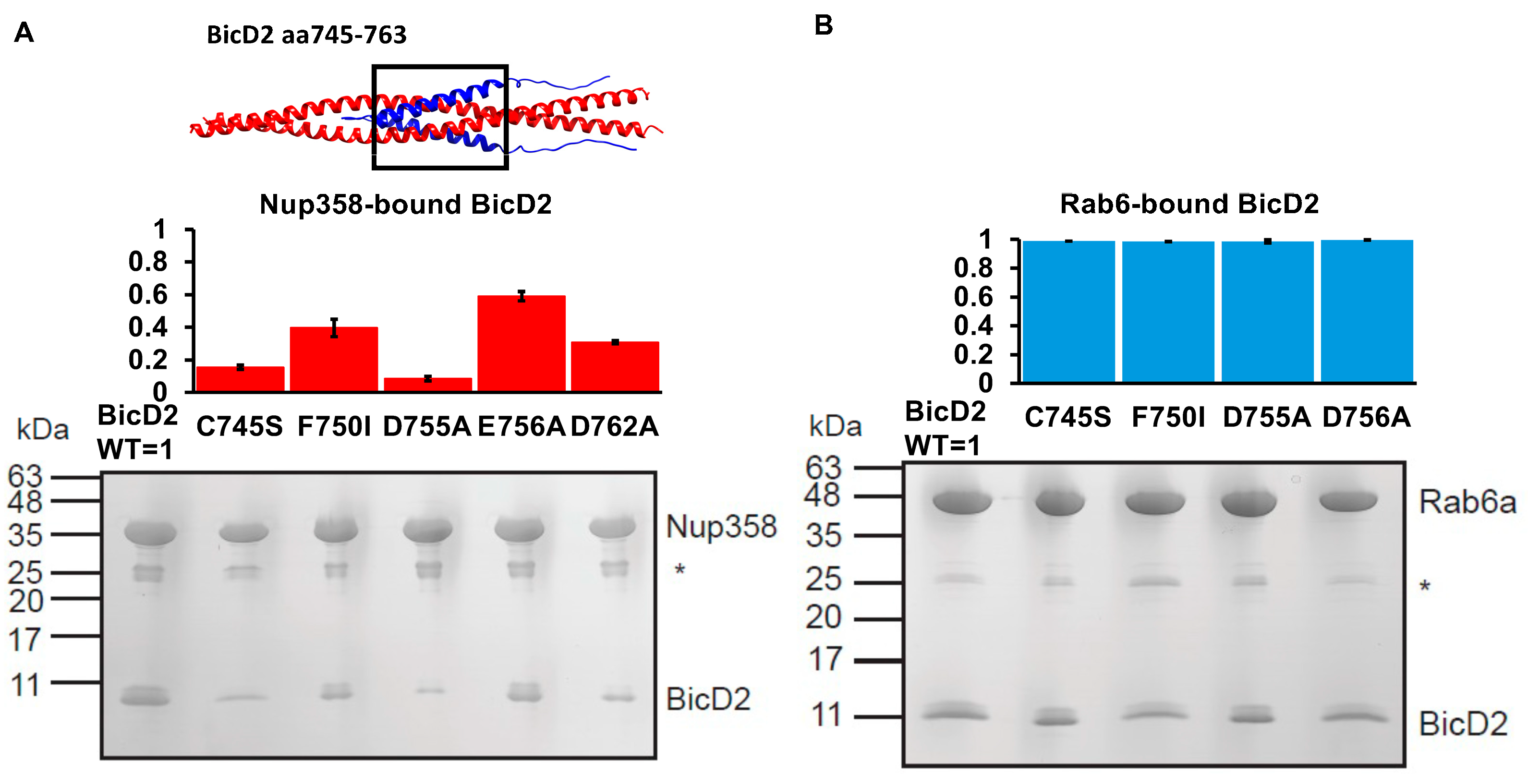 Biomolecules 13 01445 g009 Biomolecules 13 01445 g009