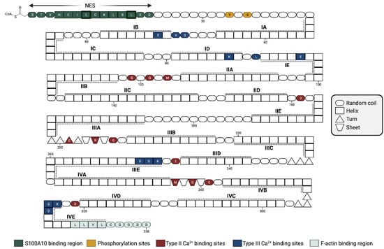 Biomolecules 13 01450 g003