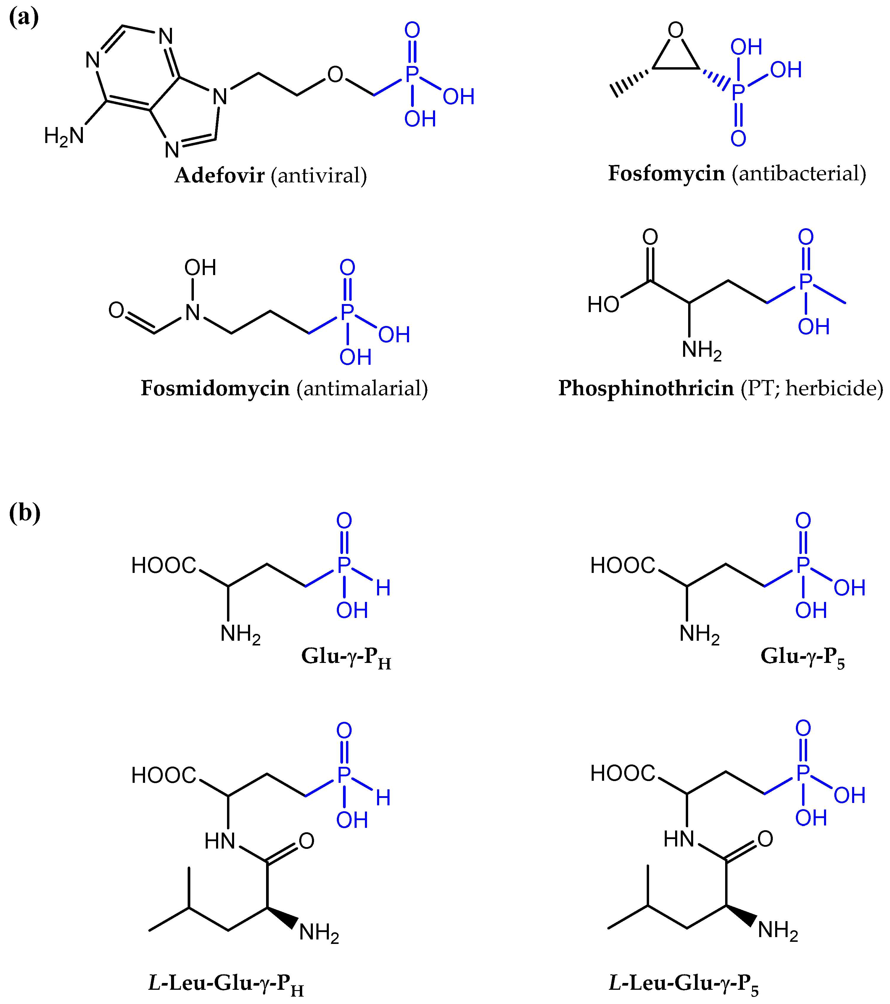 Biomolecules 13 01451 g001 Biomolecules 13 01451 g001