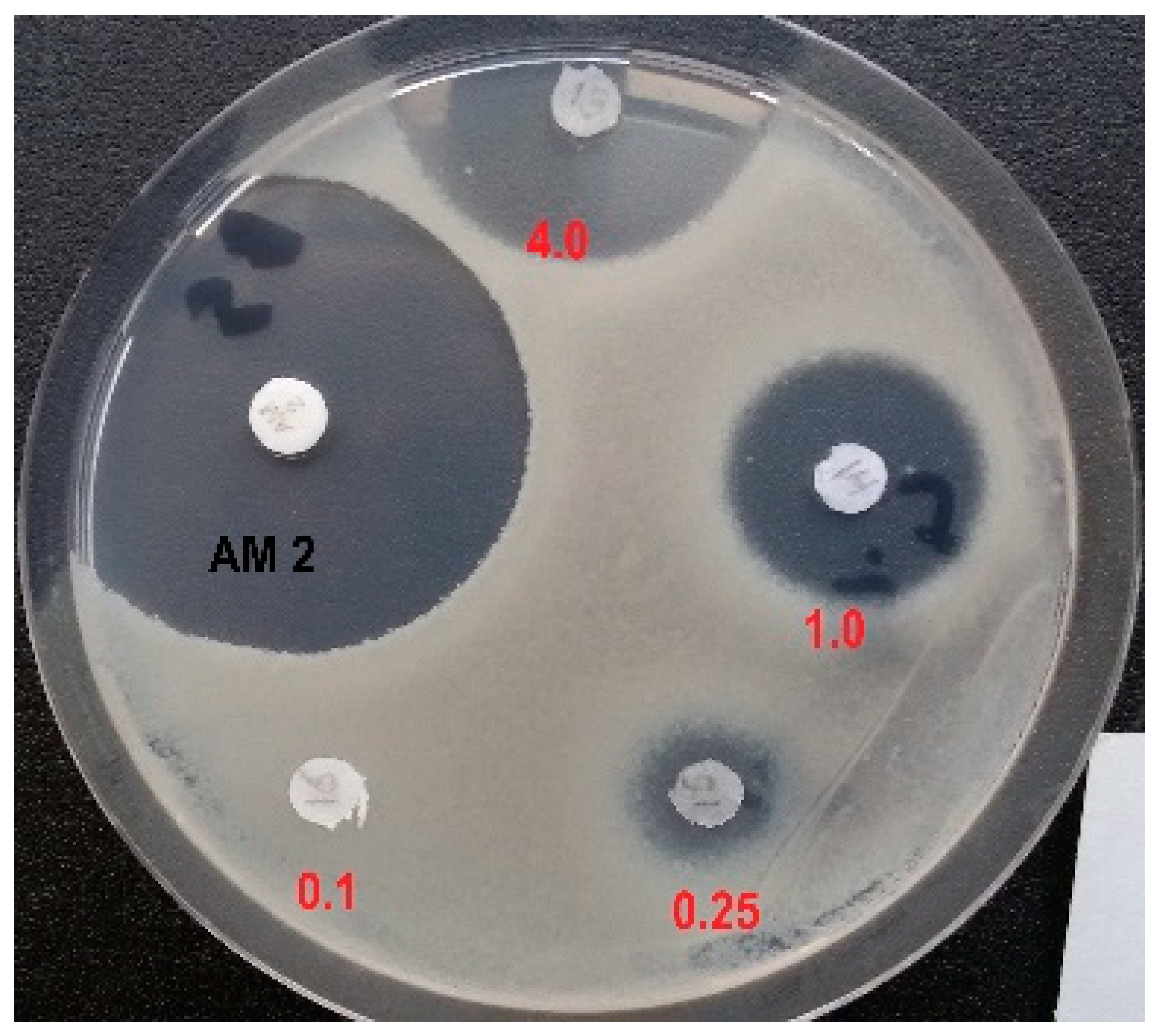 Biomolecules 13 01451 g003 Biomolecules 13 01451 g003