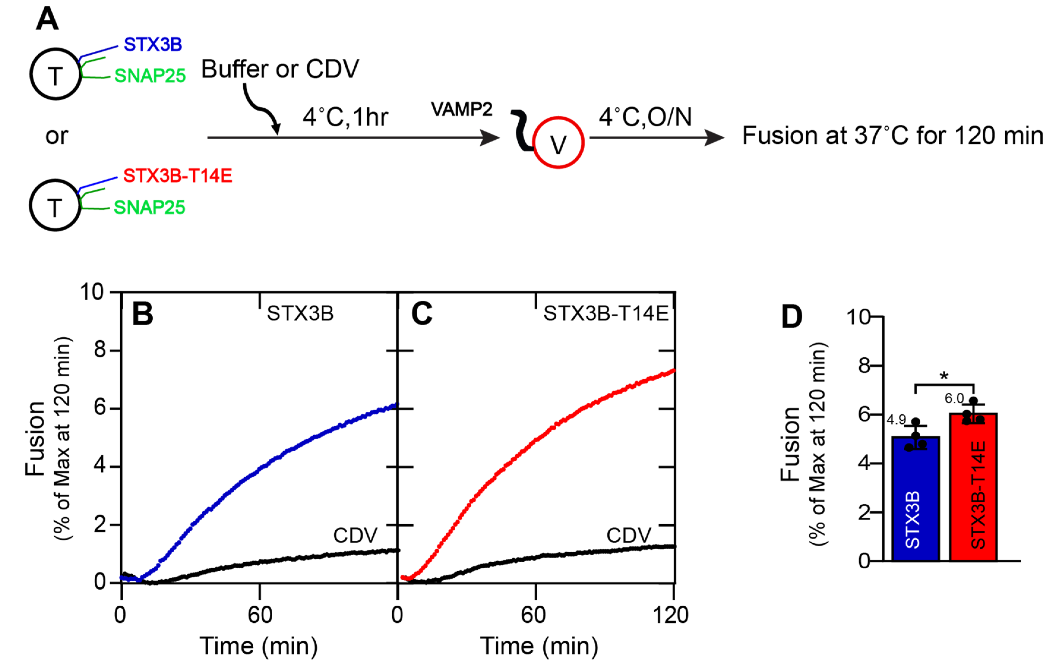 Biomolecules 13 01463 g001