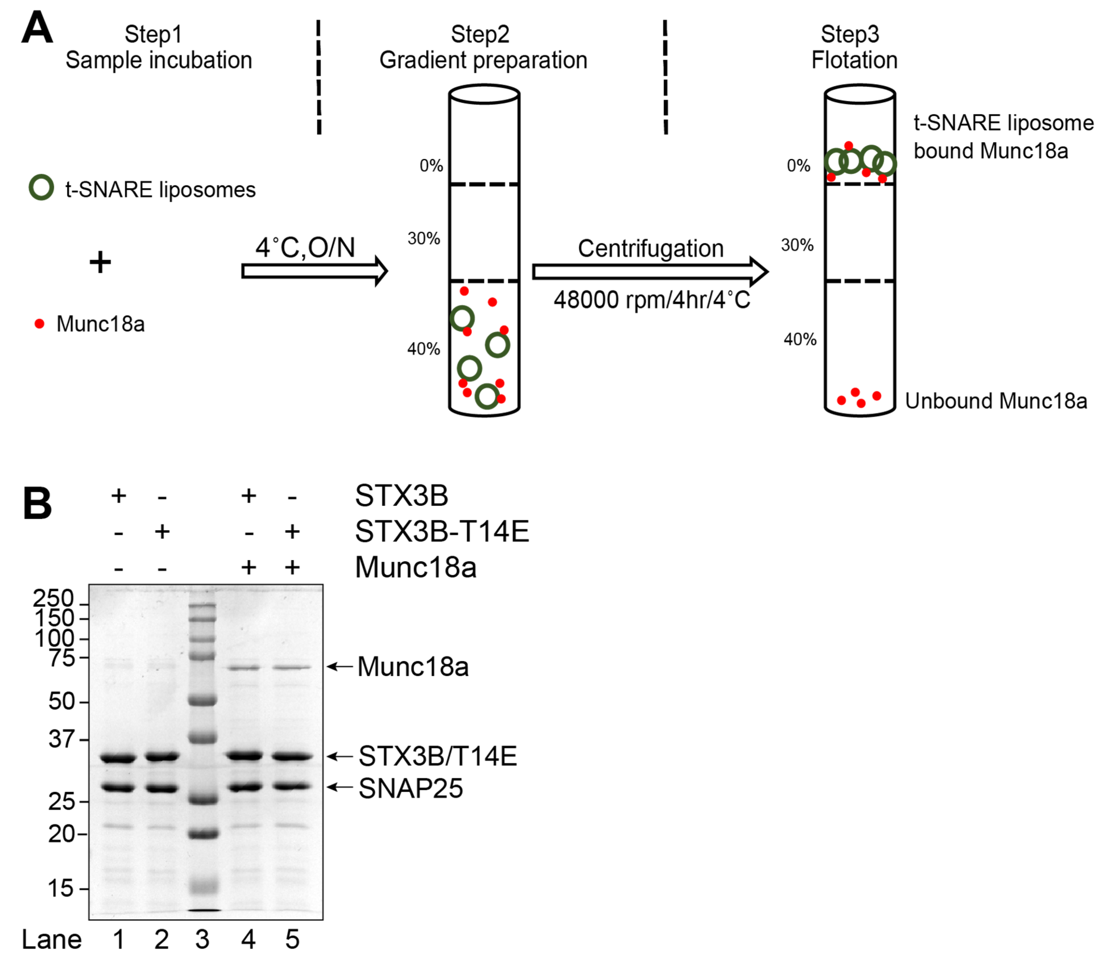 Biomolecules 13 01463 g002