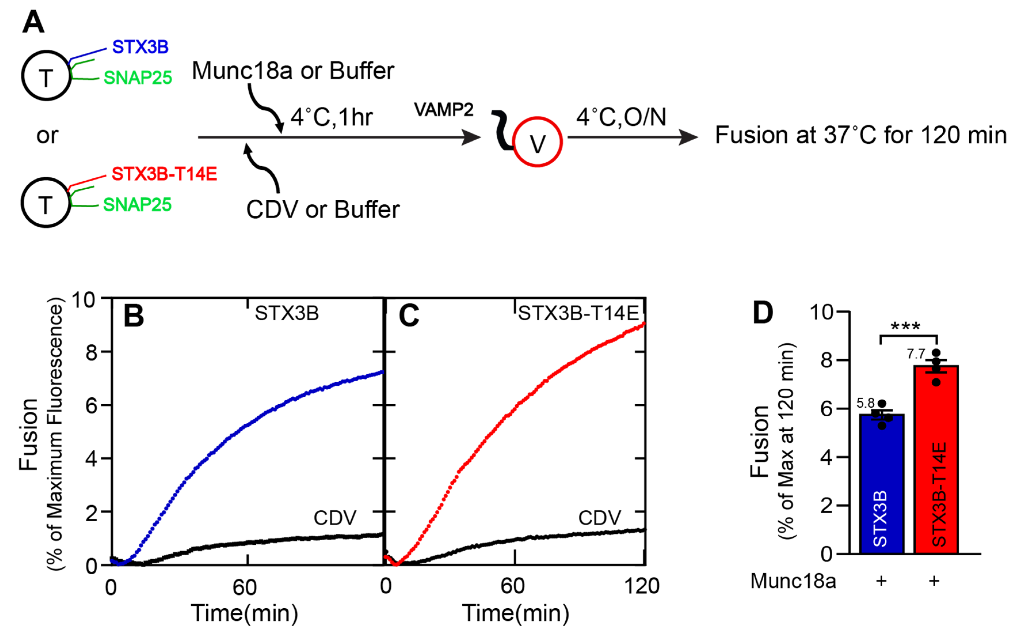 Biomolecules 13 01463 g003