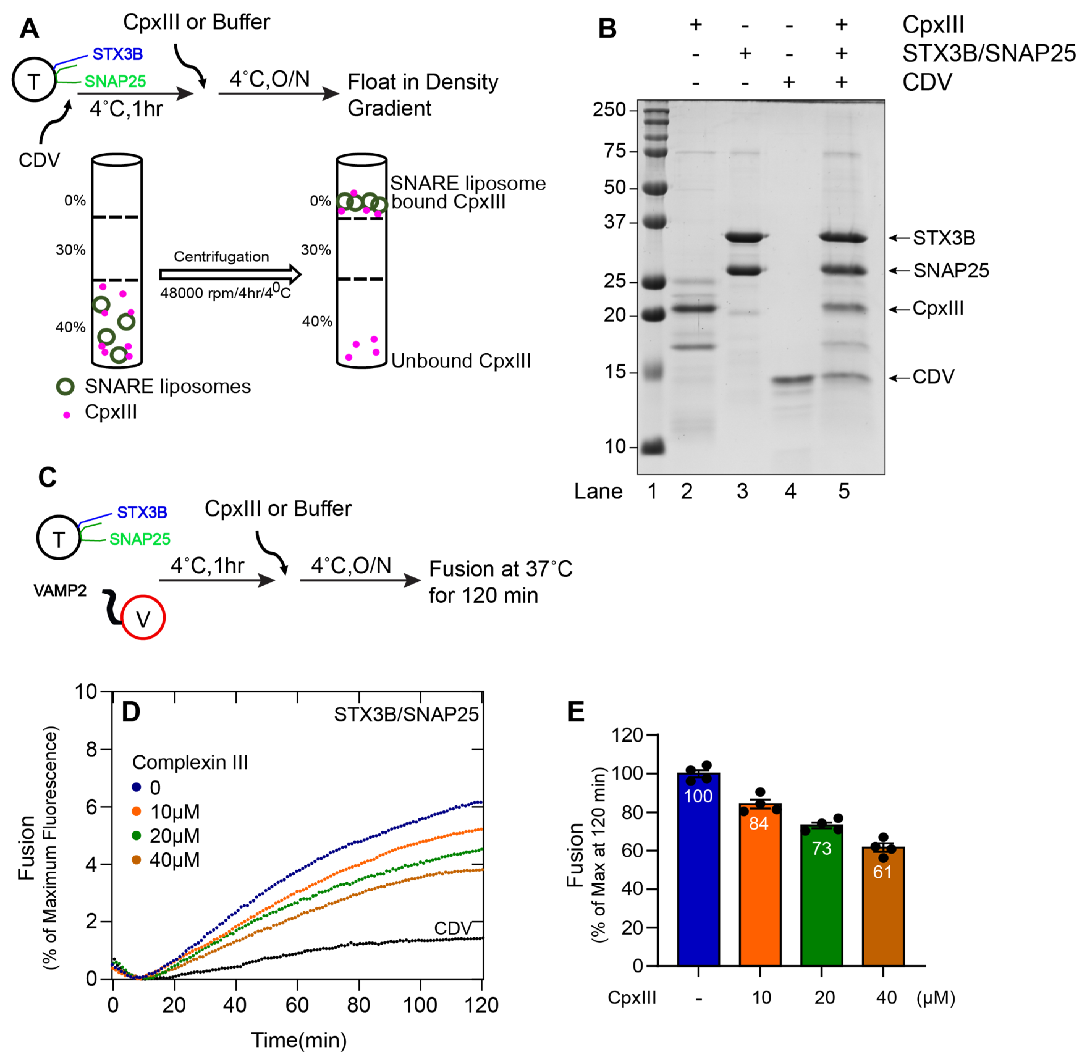 Biomolecules 13 01463 g004