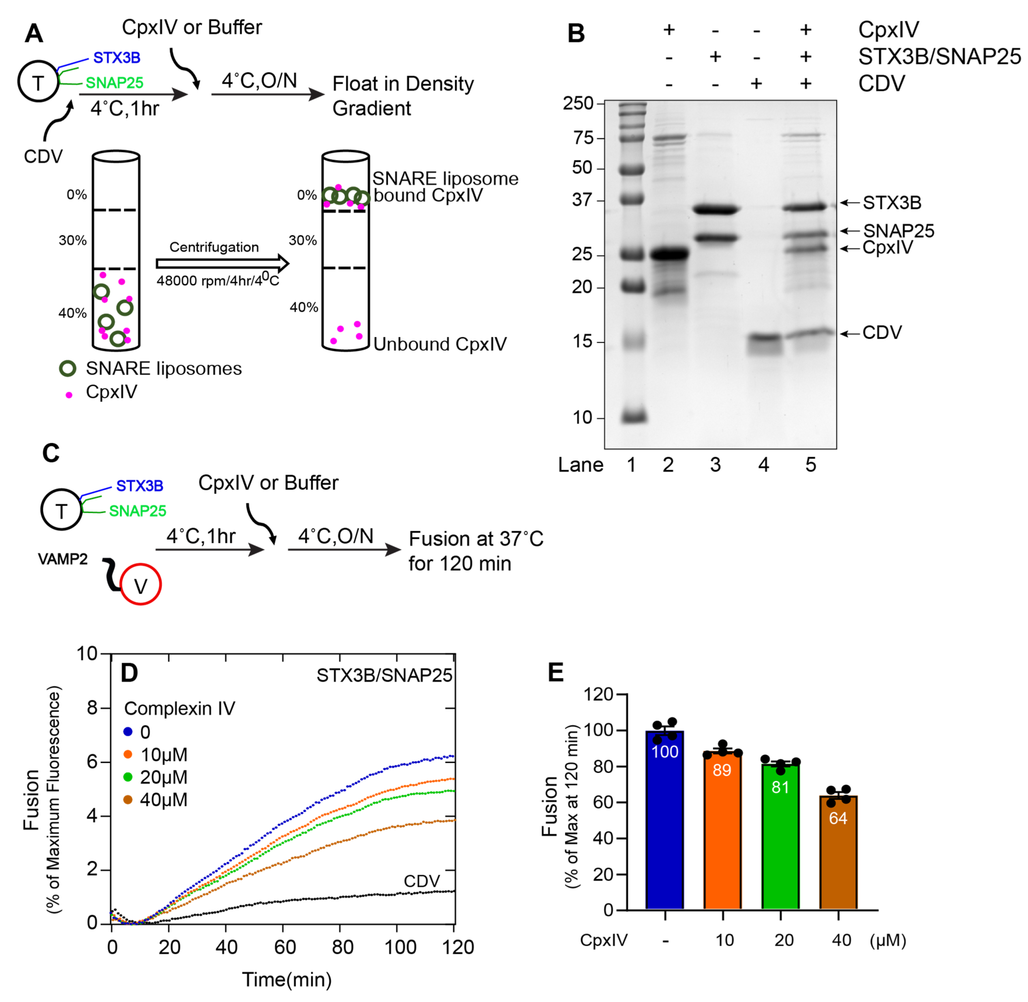 Biomolecules 13 01463 g005