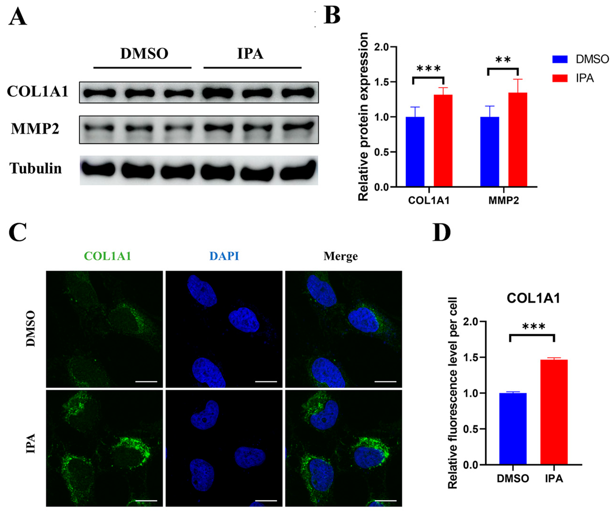 Biomolecules 13 01464 g002