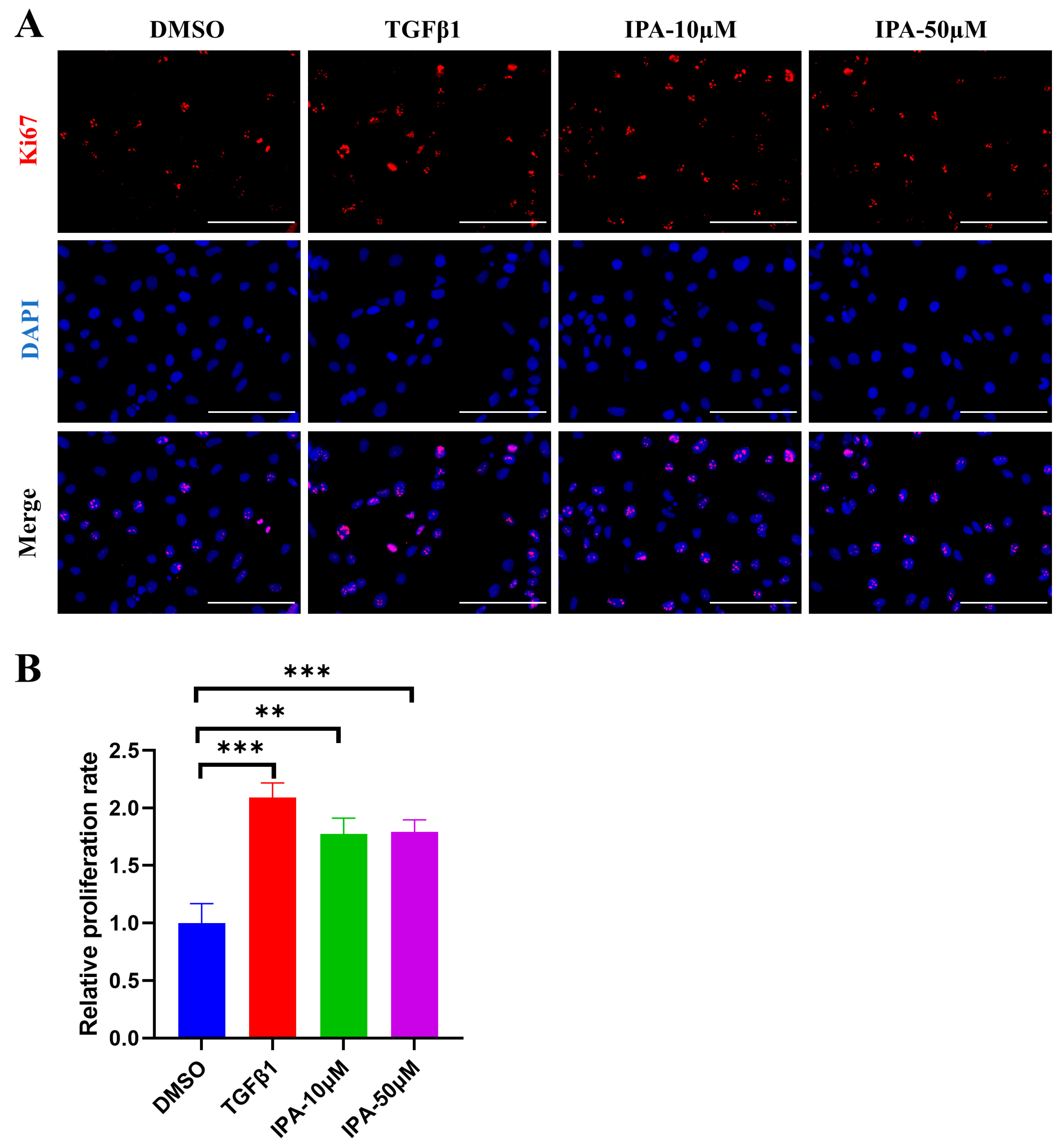 Biomolecules 13 01464 g003