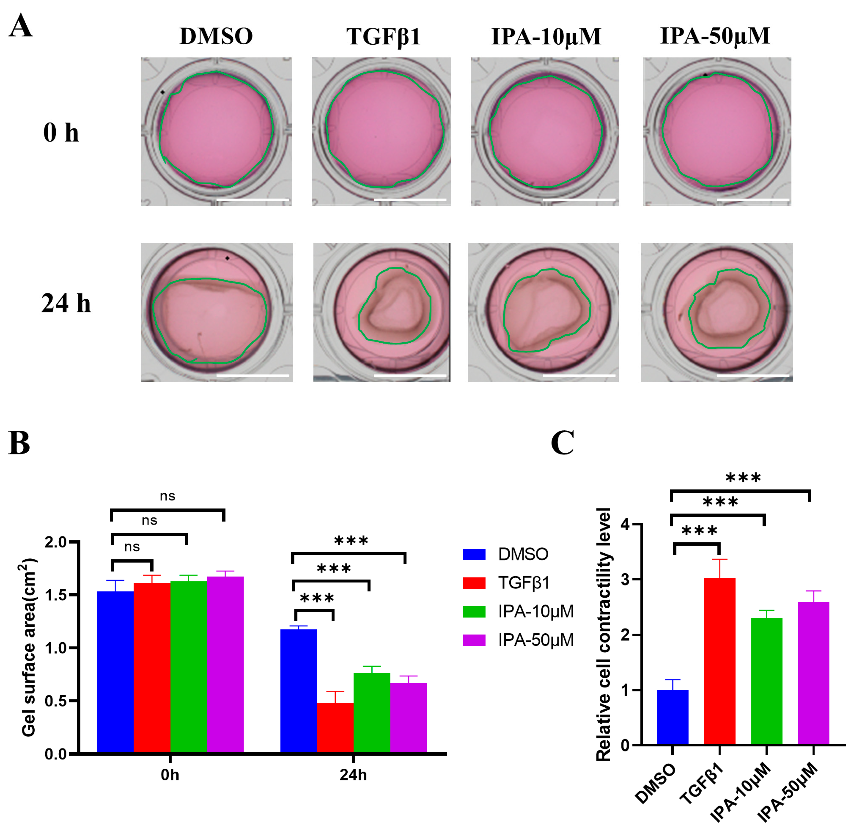 Biomolecules 13 01464 g004