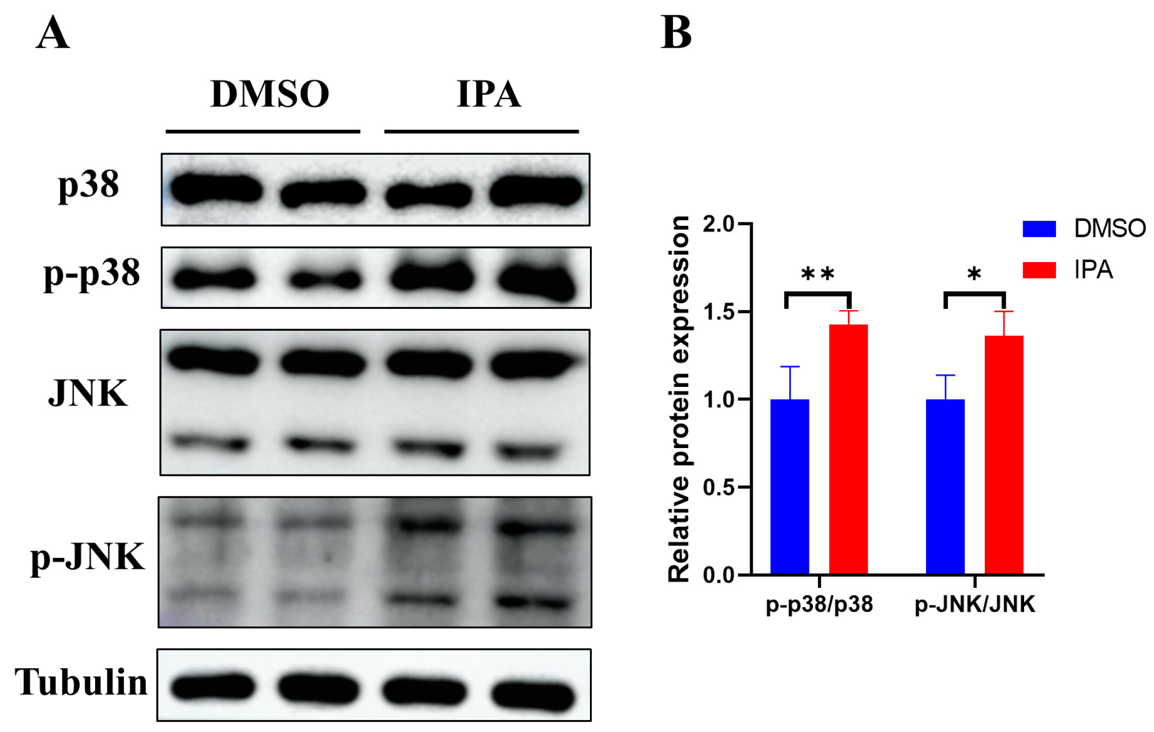Biomolecules 13 01464 g007