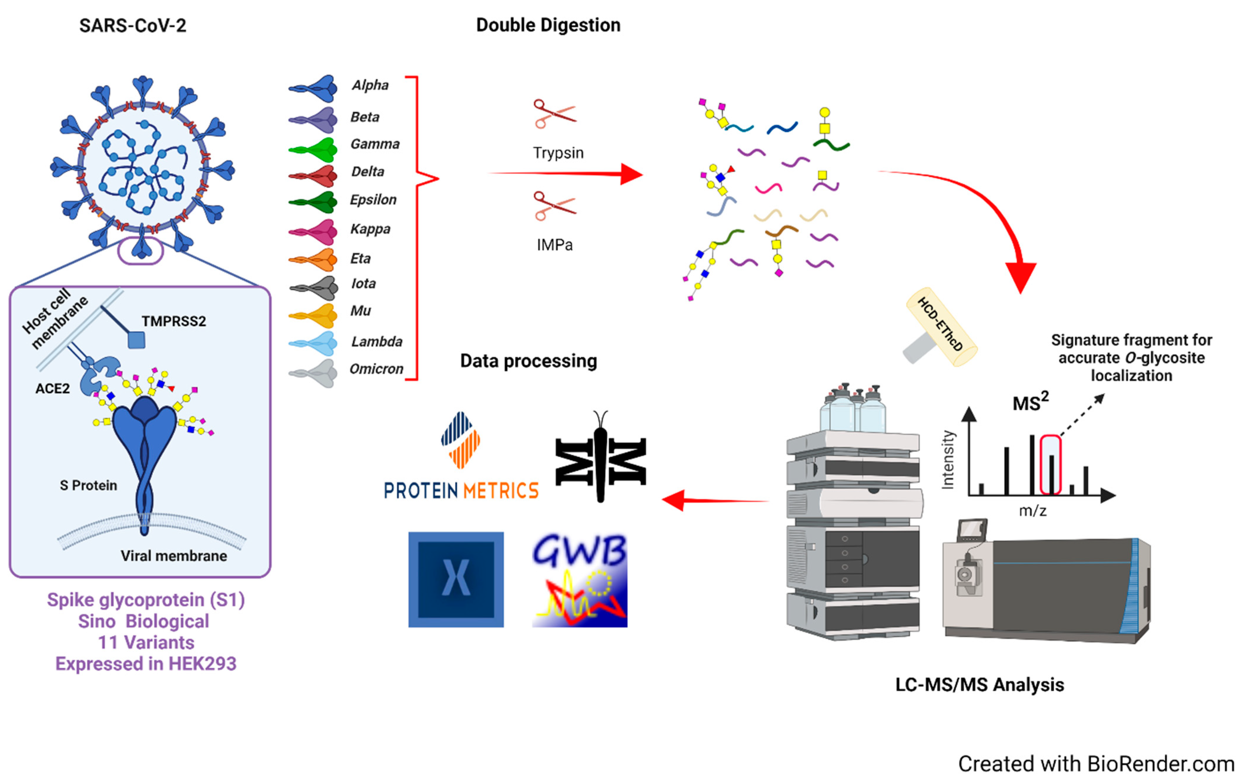 Biomolecules 13 01467 g001