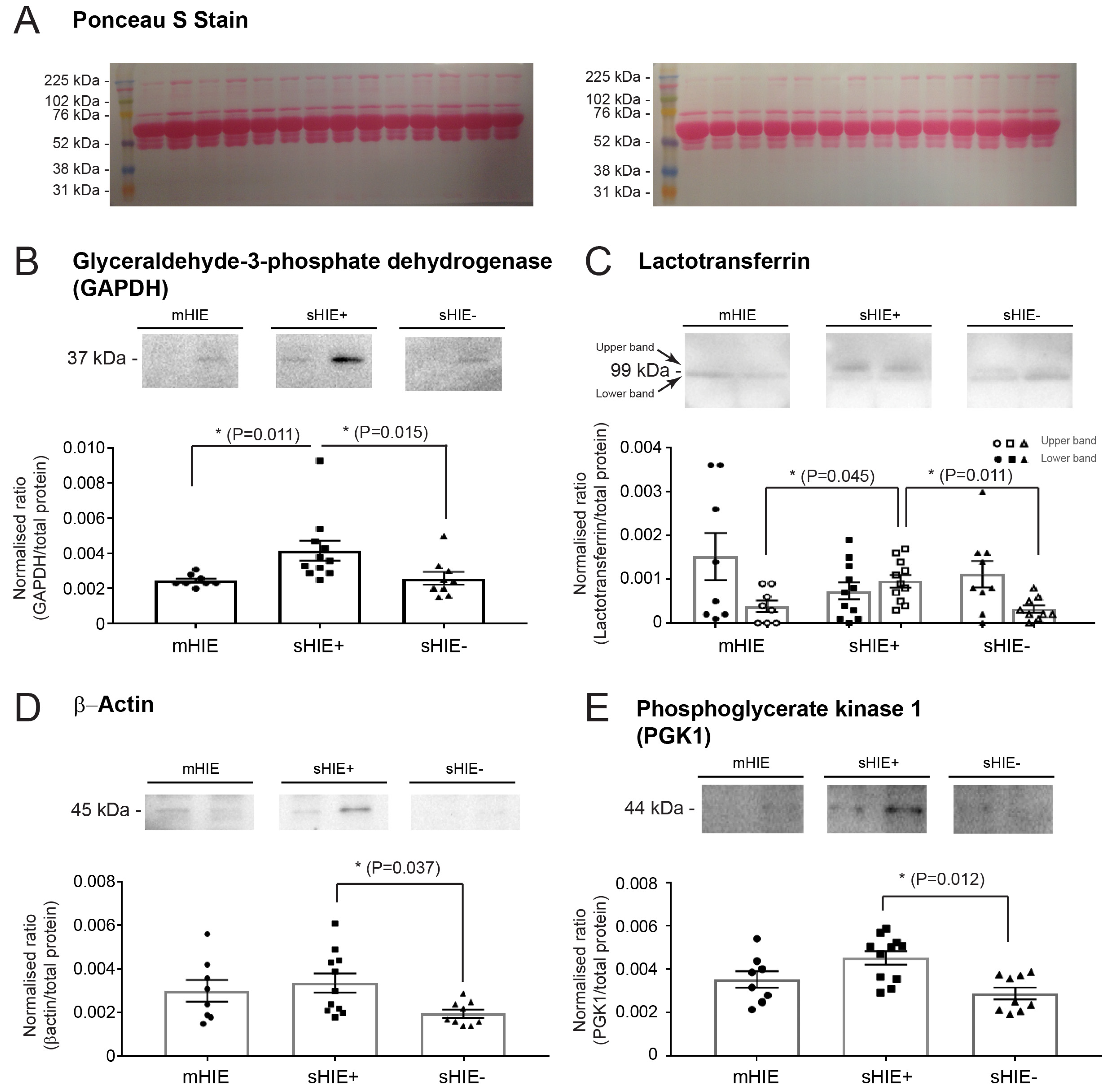 Biomolecules 13 01471 g005