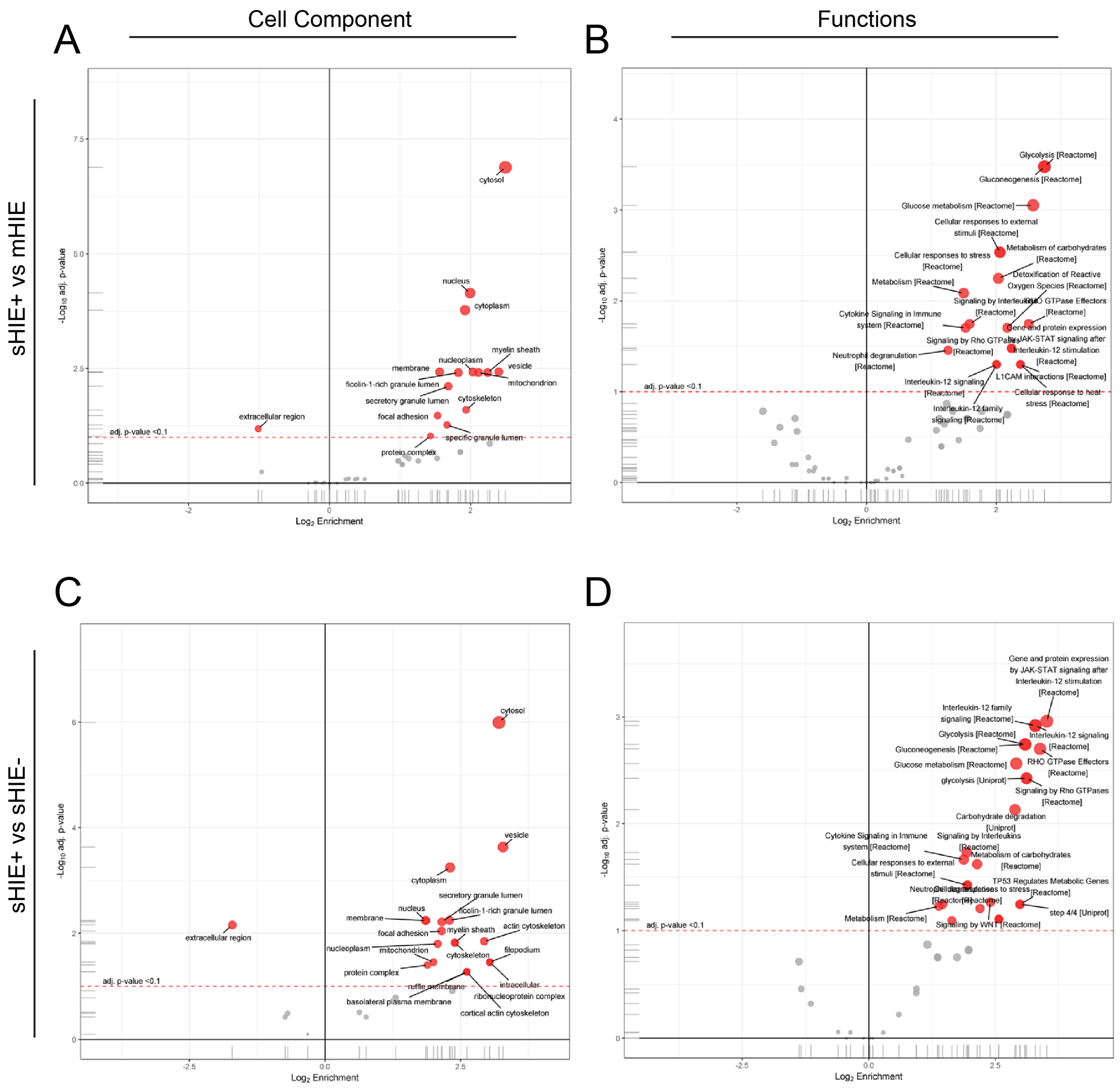 Biomolecules 13 01471 g006