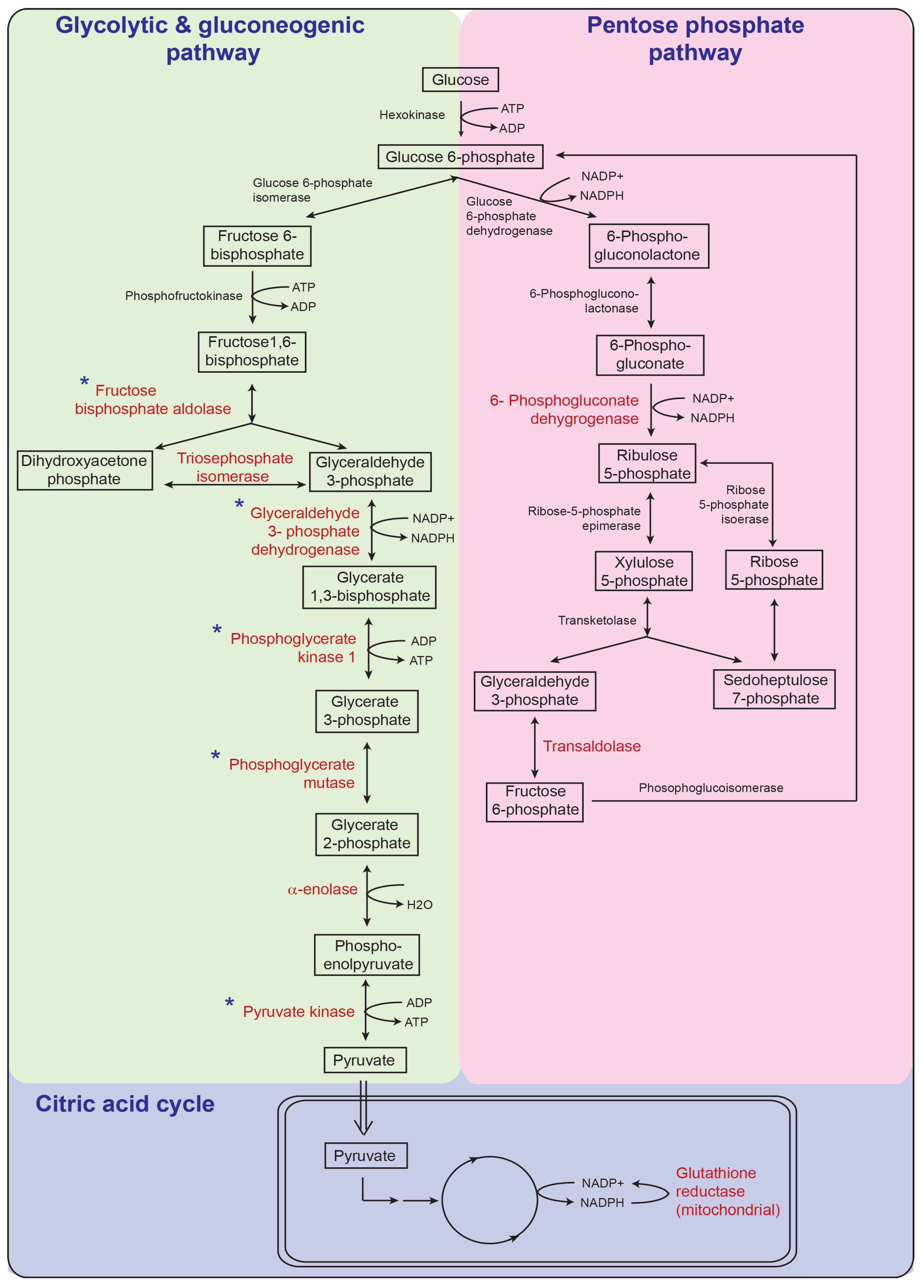 Biomolecules 13 01471 g008